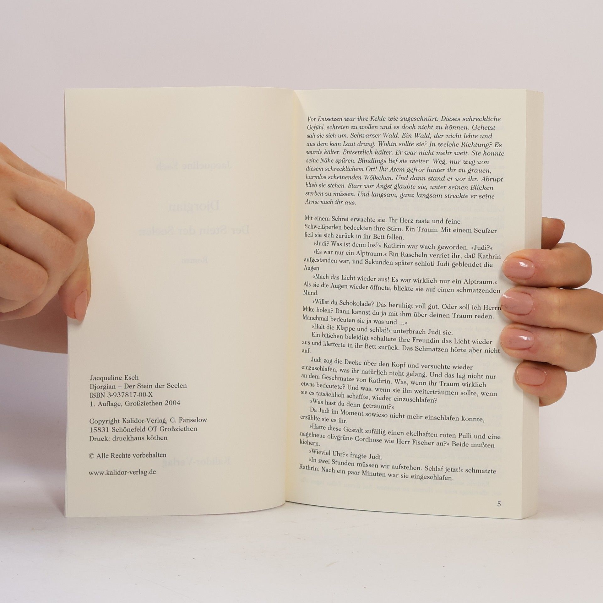 Jacqueline Esch Djorgian: Der Stein der Seelen
