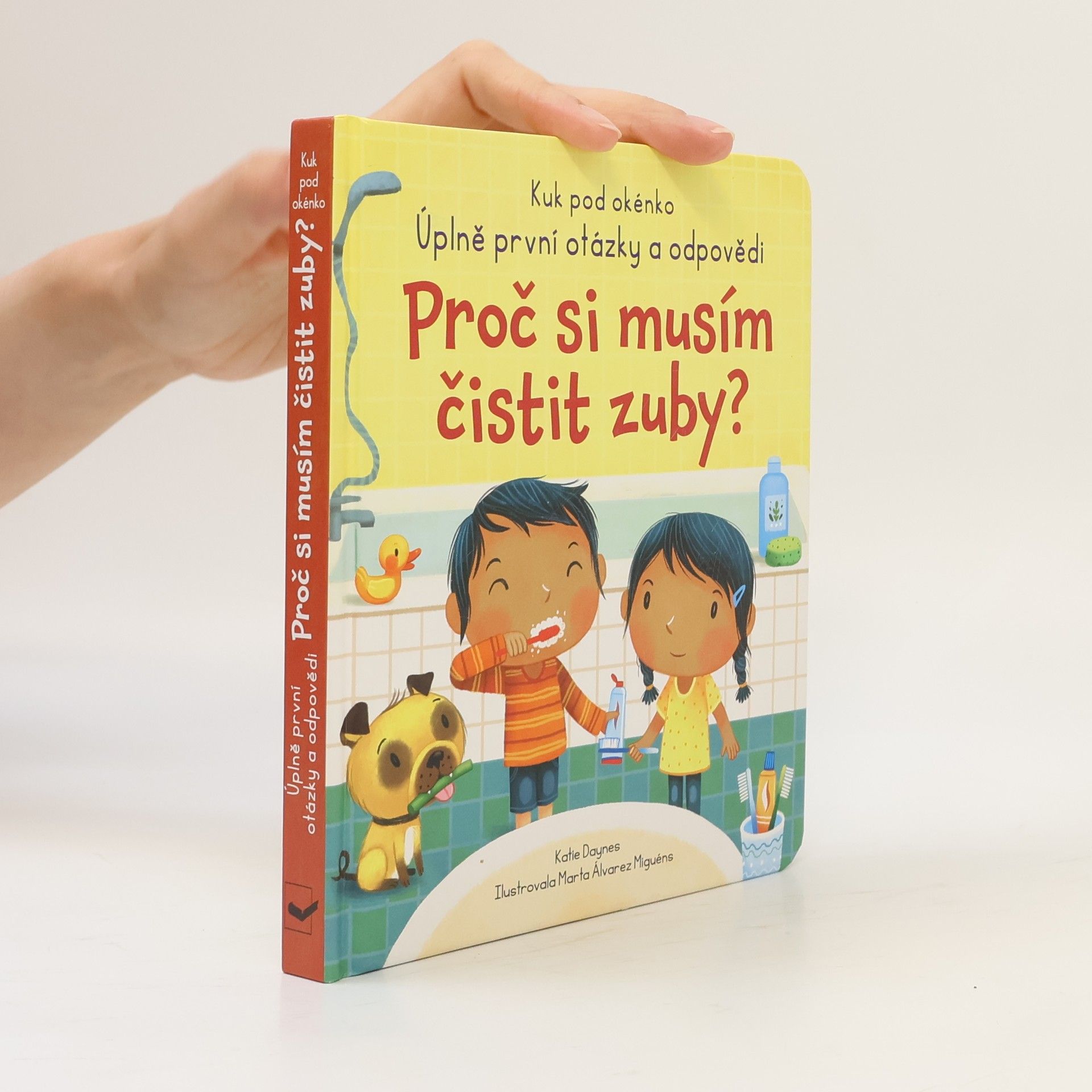 Katie Daynes Proč si musím čistit zuby?
