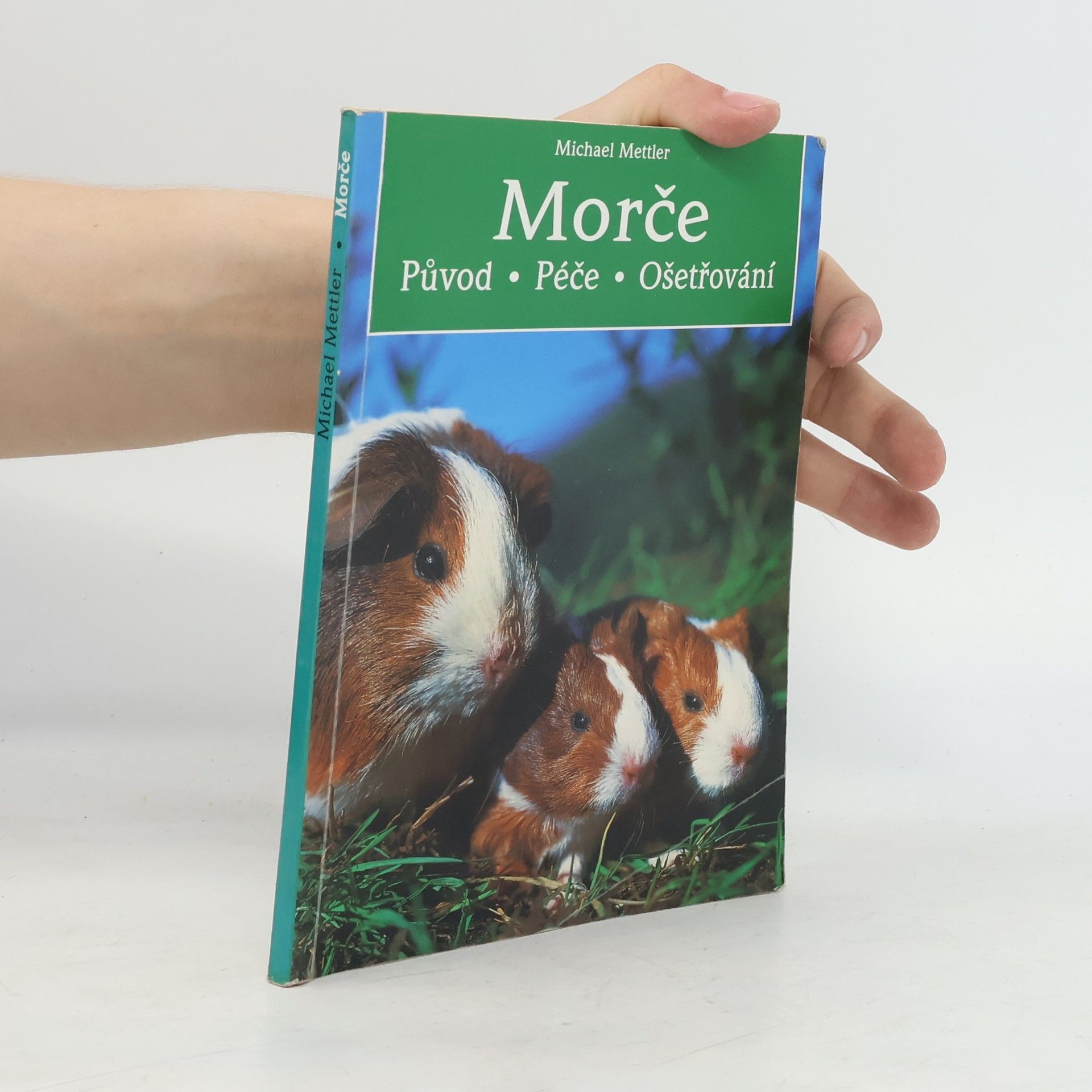 Michael Mettler Morče. Původ. Péče. Ošetřování