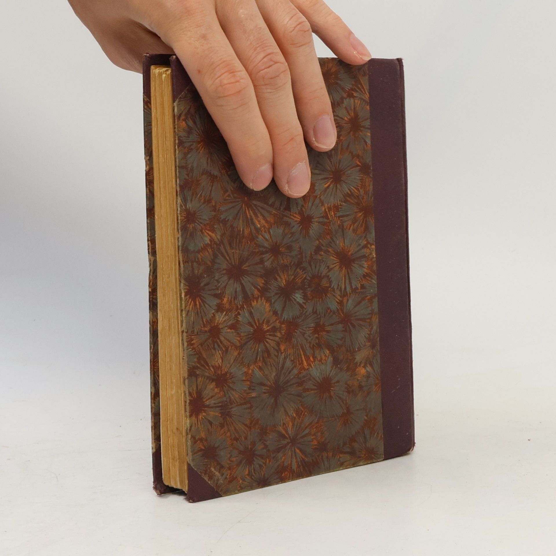 Alexandre Dumas der Jüngere Dáma s kameliemi