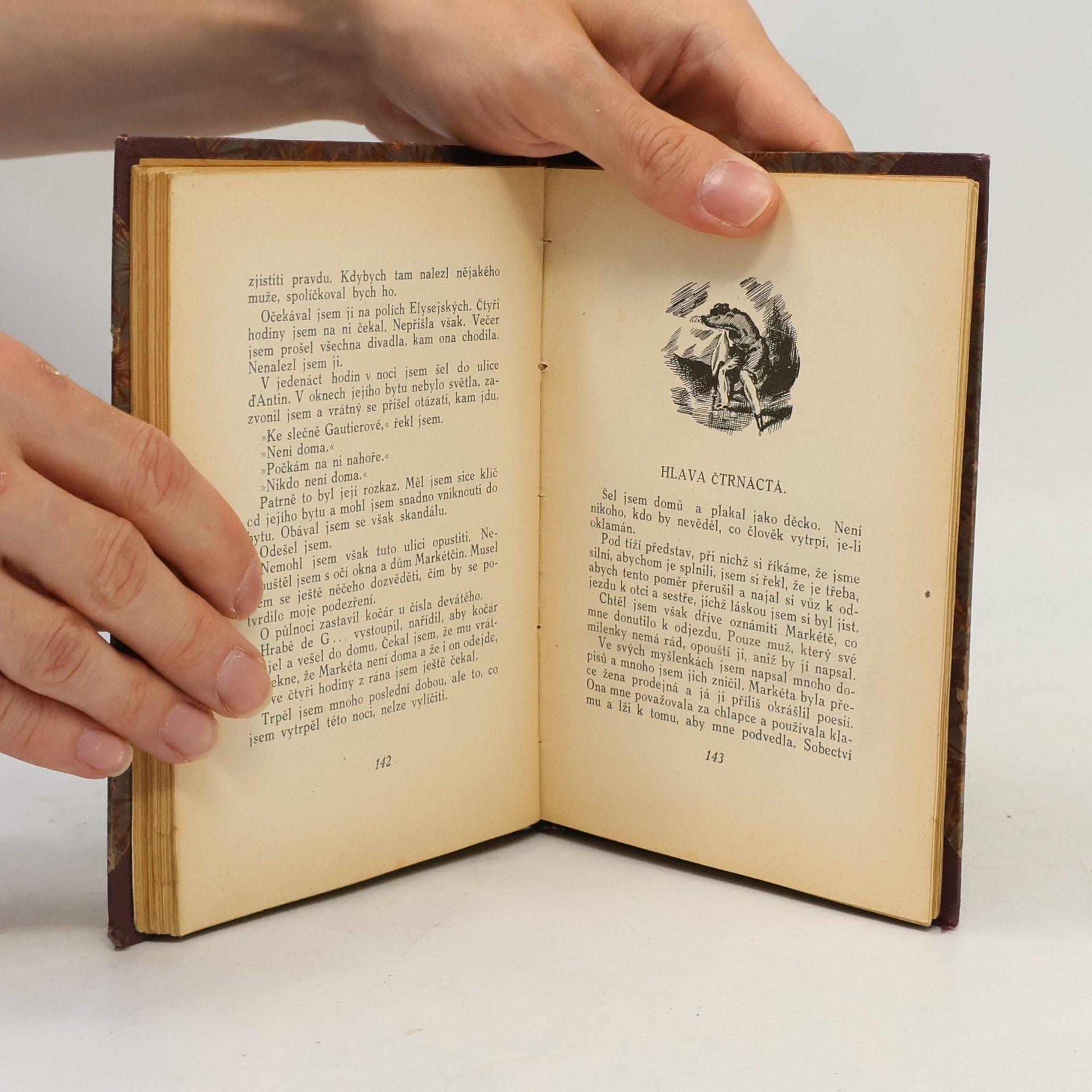 Alexandre Dumas der Jüngere Dáma s kameliemi