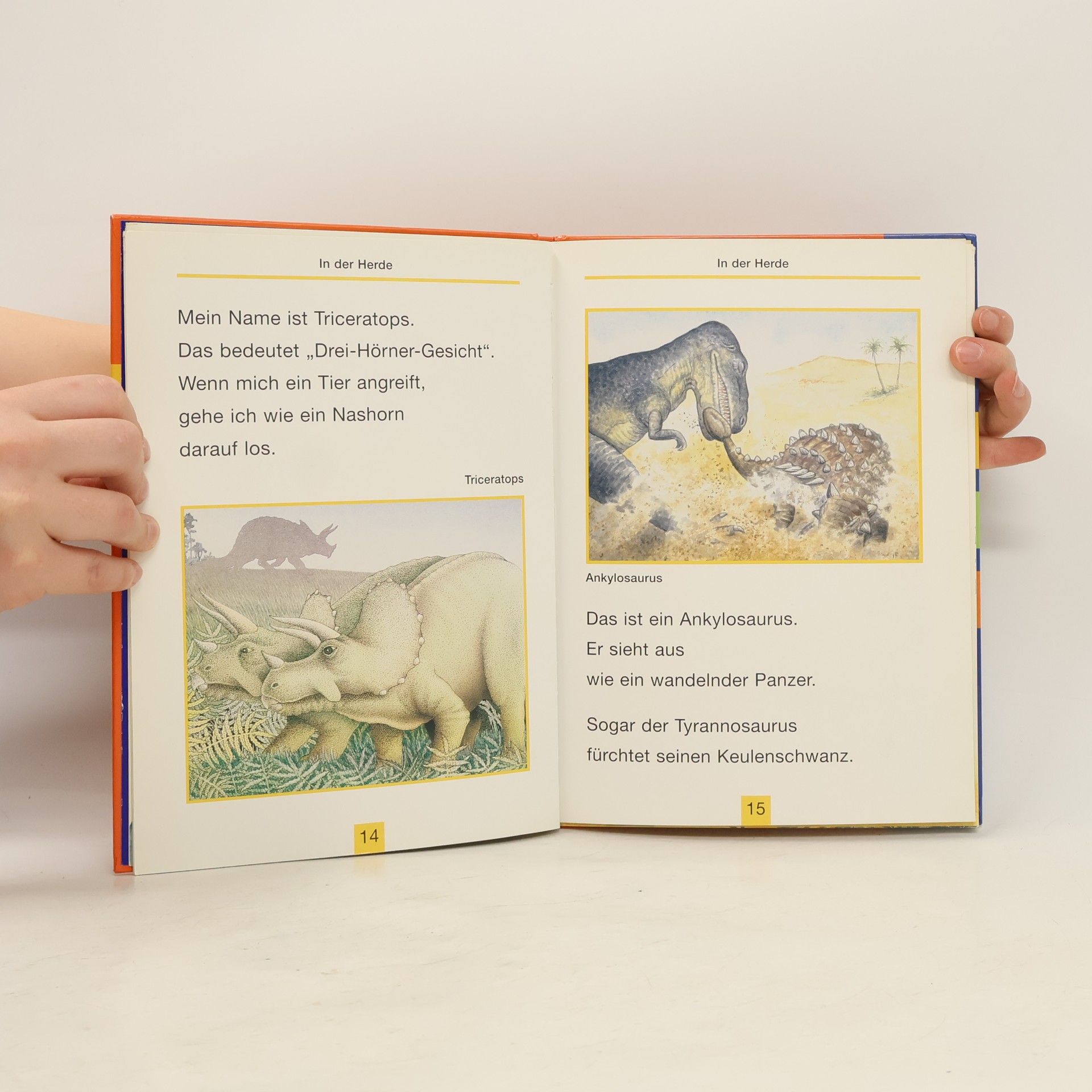 Deri Robins Wissen der Welt: Dinosaurier