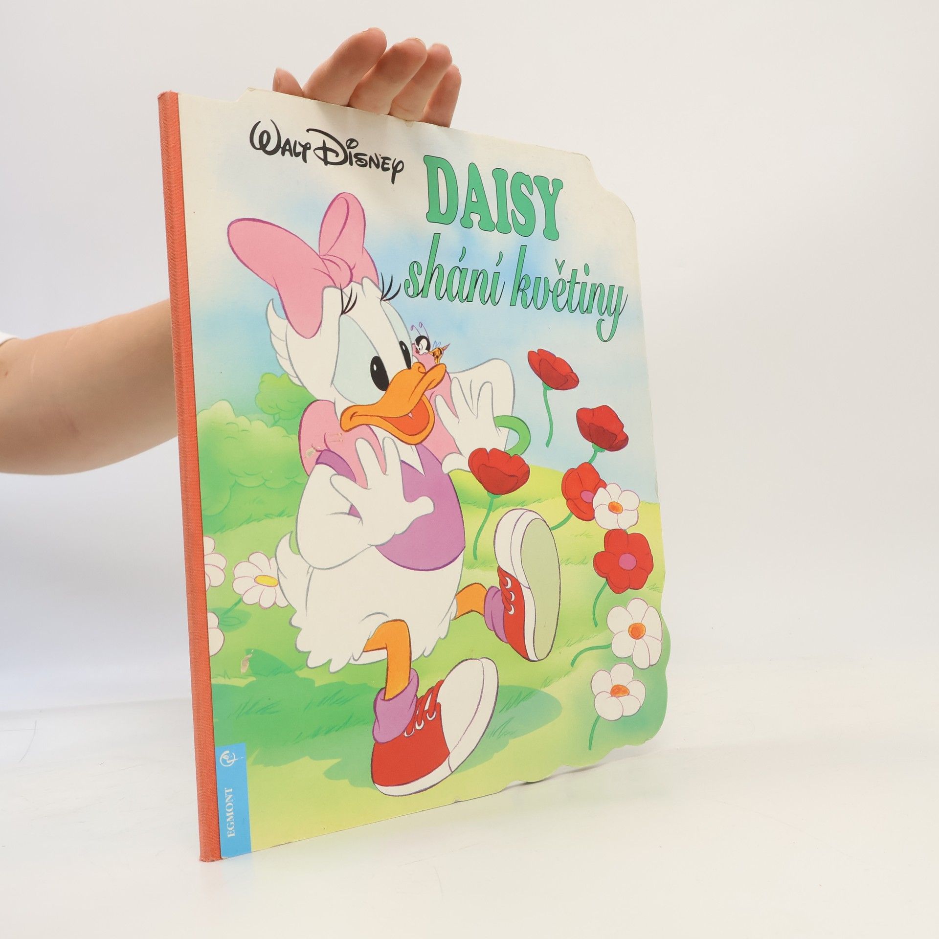 Jana Klimešová Daisy shání květiny