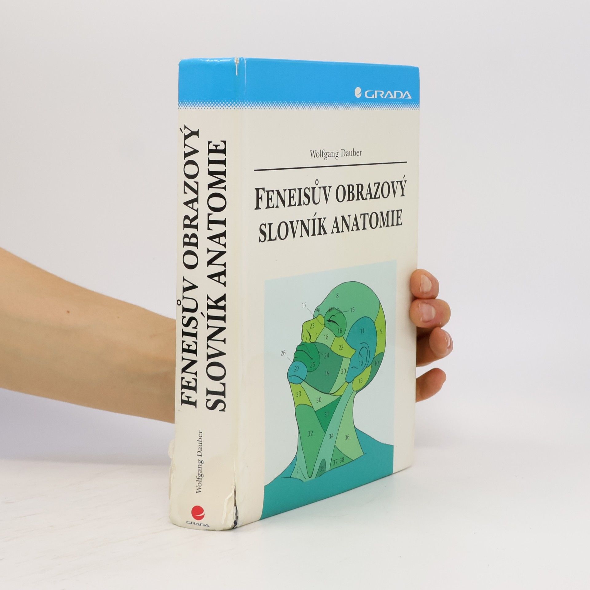 Wolfgang Dauber Feneisův obrazový slovník anatomie