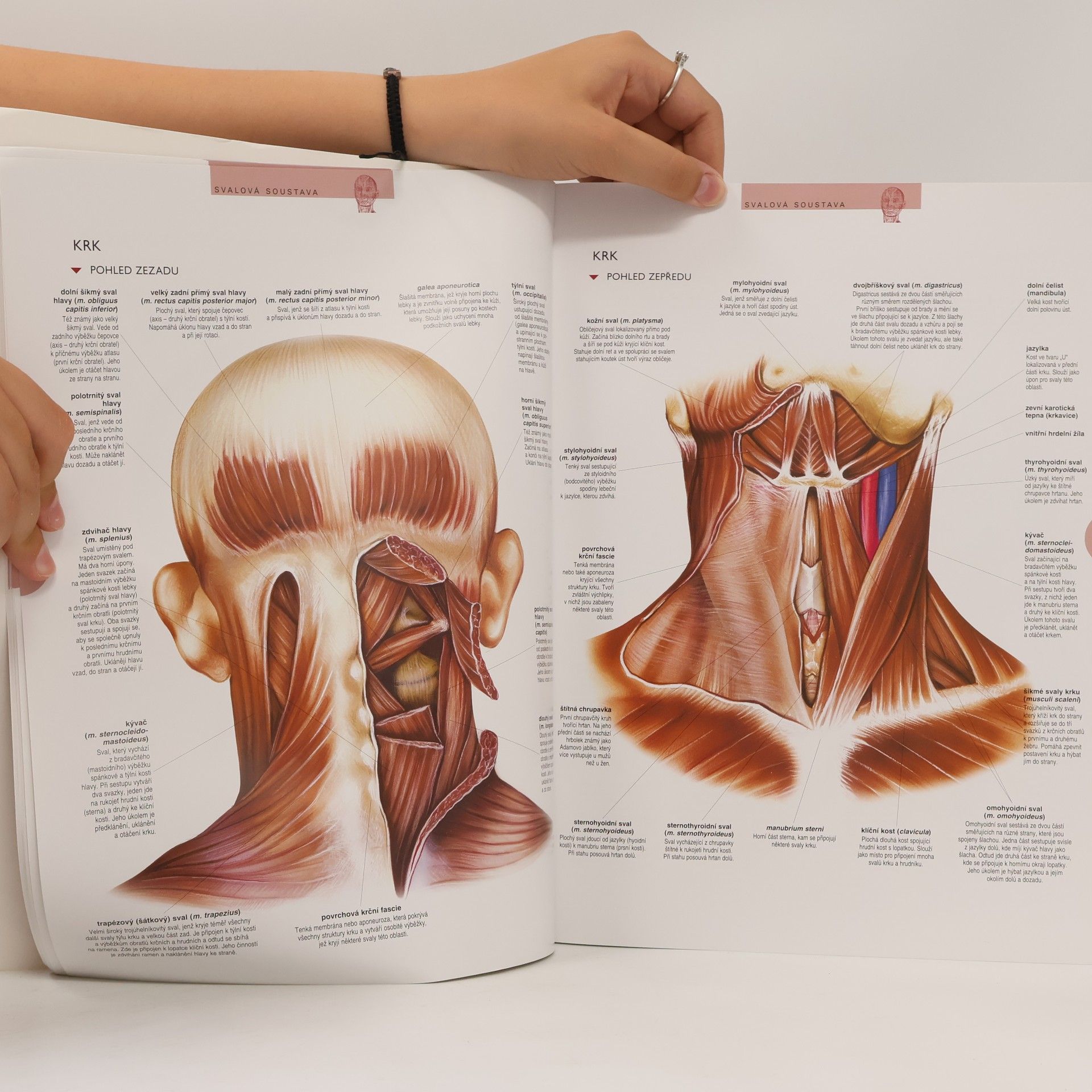 Kolektív autorov Atlas lidského těla
