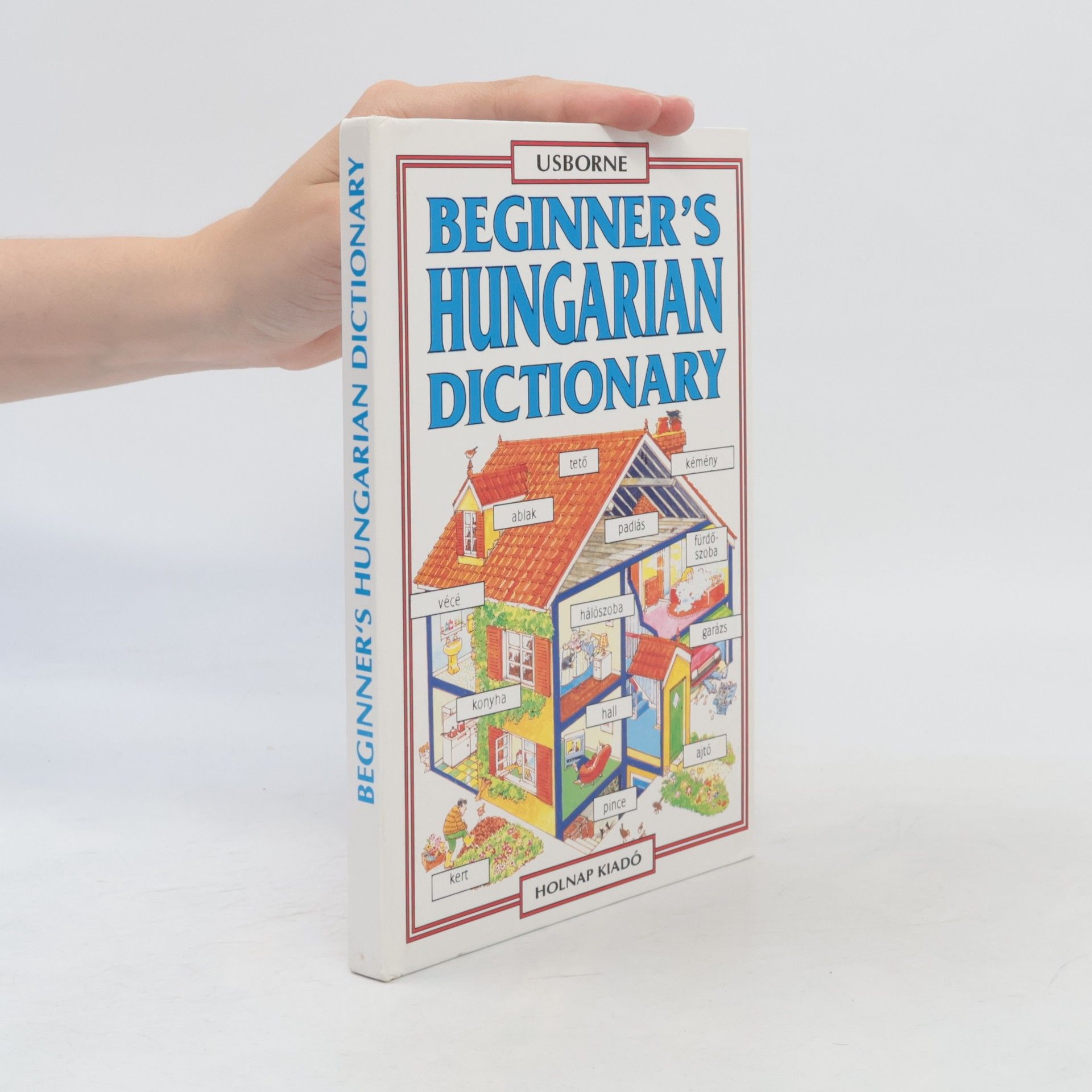 Helen Davies Beginner's Hungarian Dictionary