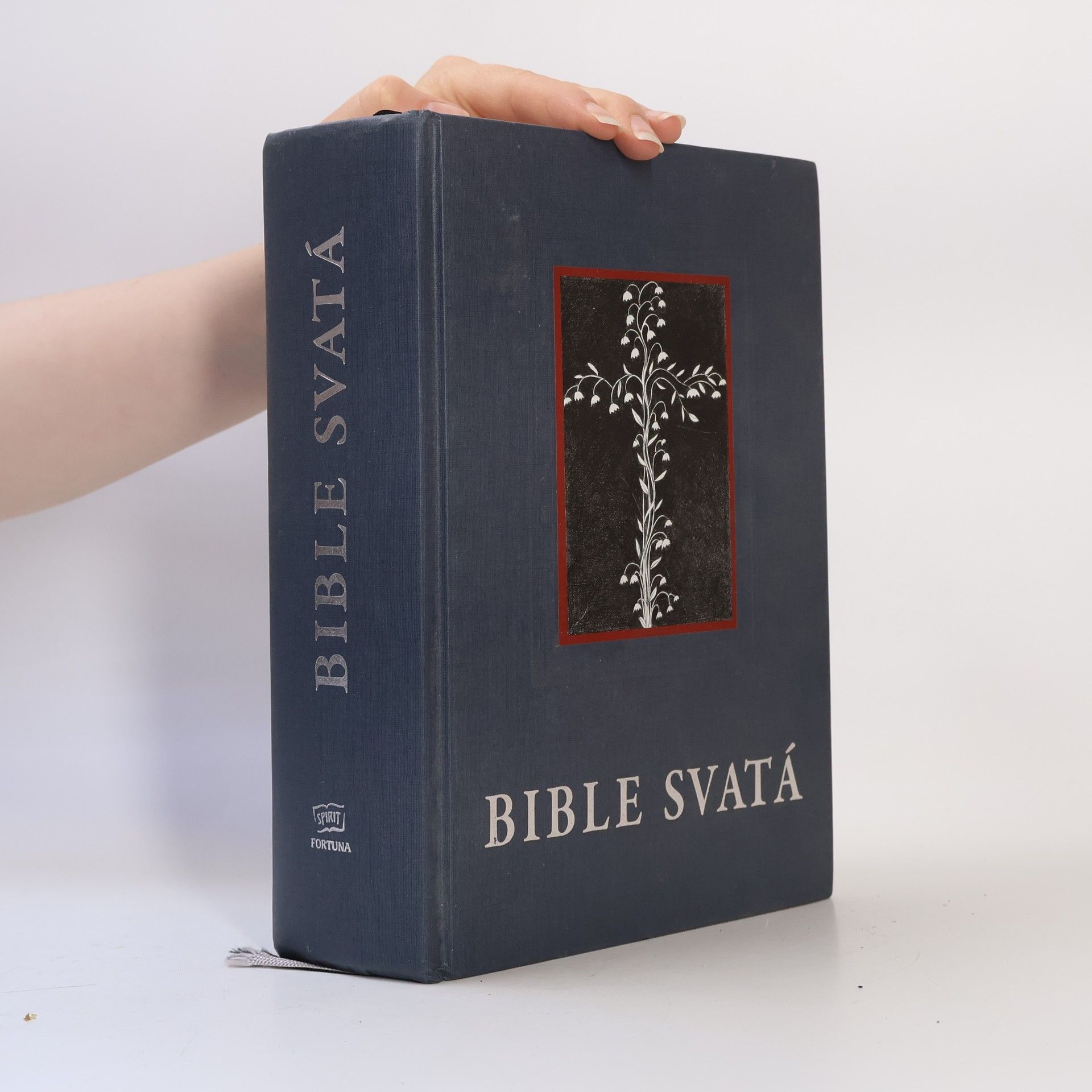 Kolektiv autorů Kralická Bible svatá, aneb, Všecka svatá písma Starého i Nového zákona : podle posledního vydání Kralického z roku 1613