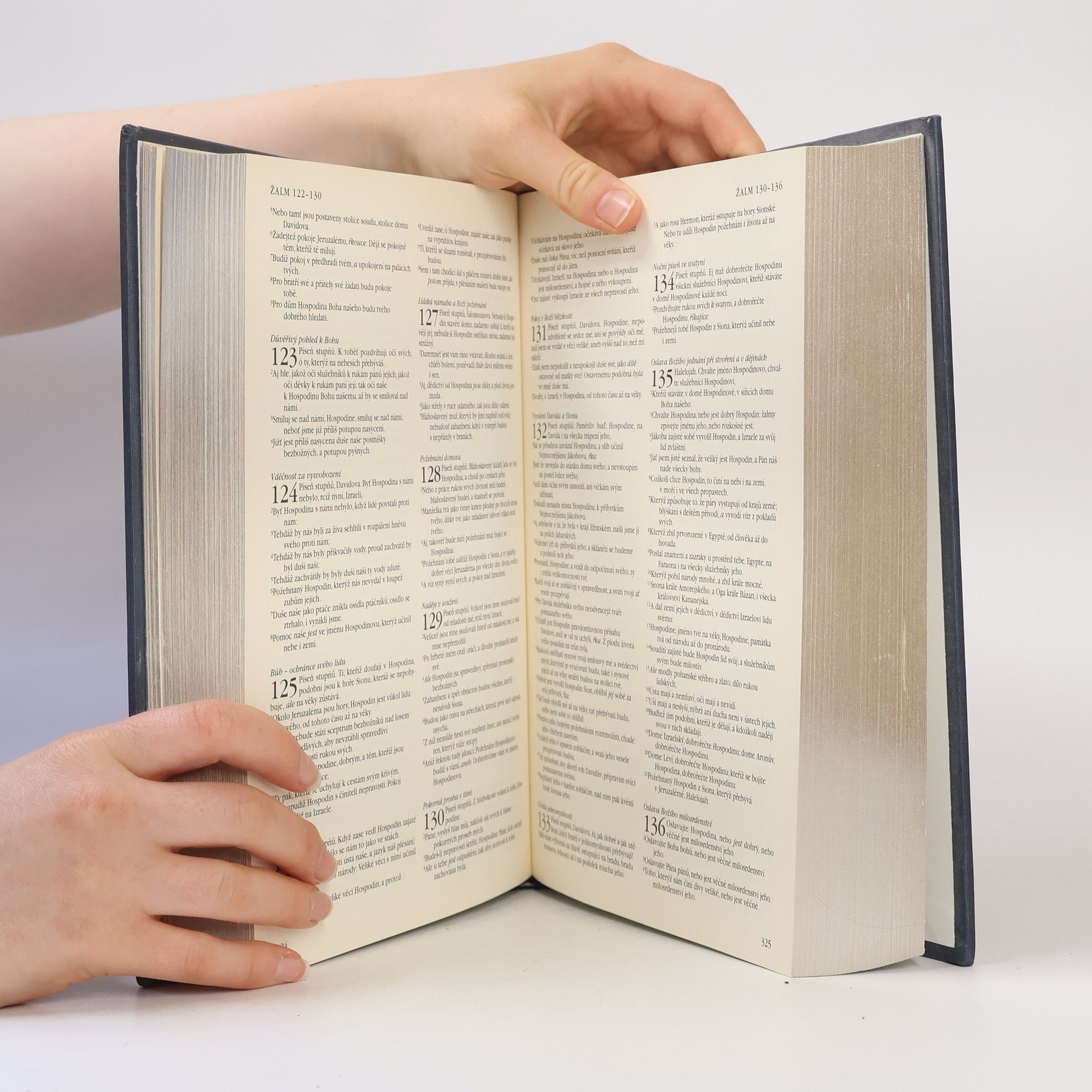 Kolektiv autorů Kralická Bible svatá, aneb, Všecka svatá písma Starého i Nového zákona : podle posledního vydání Kralického z roku 1613