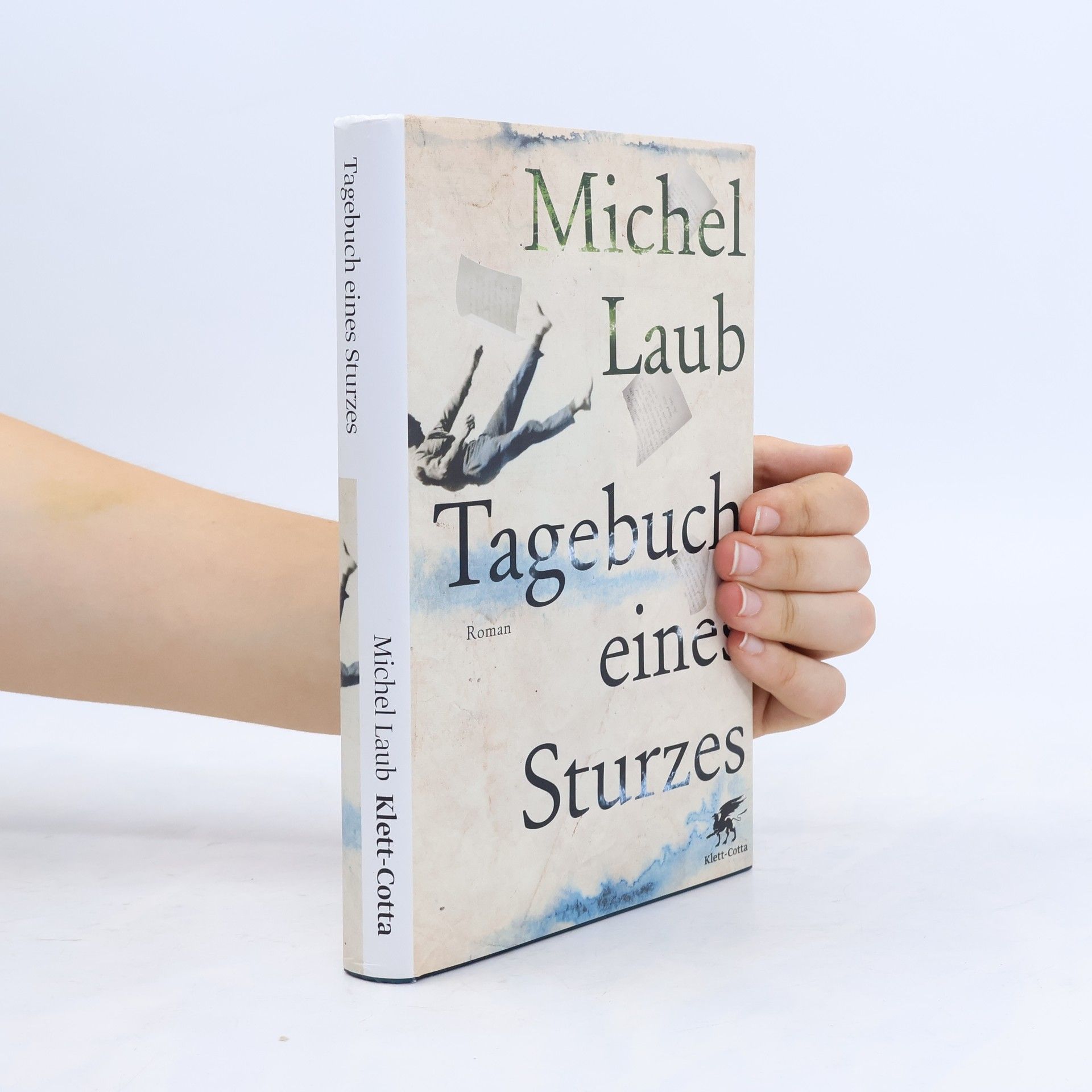 Michel Laub Tagebuch eines Sturzes