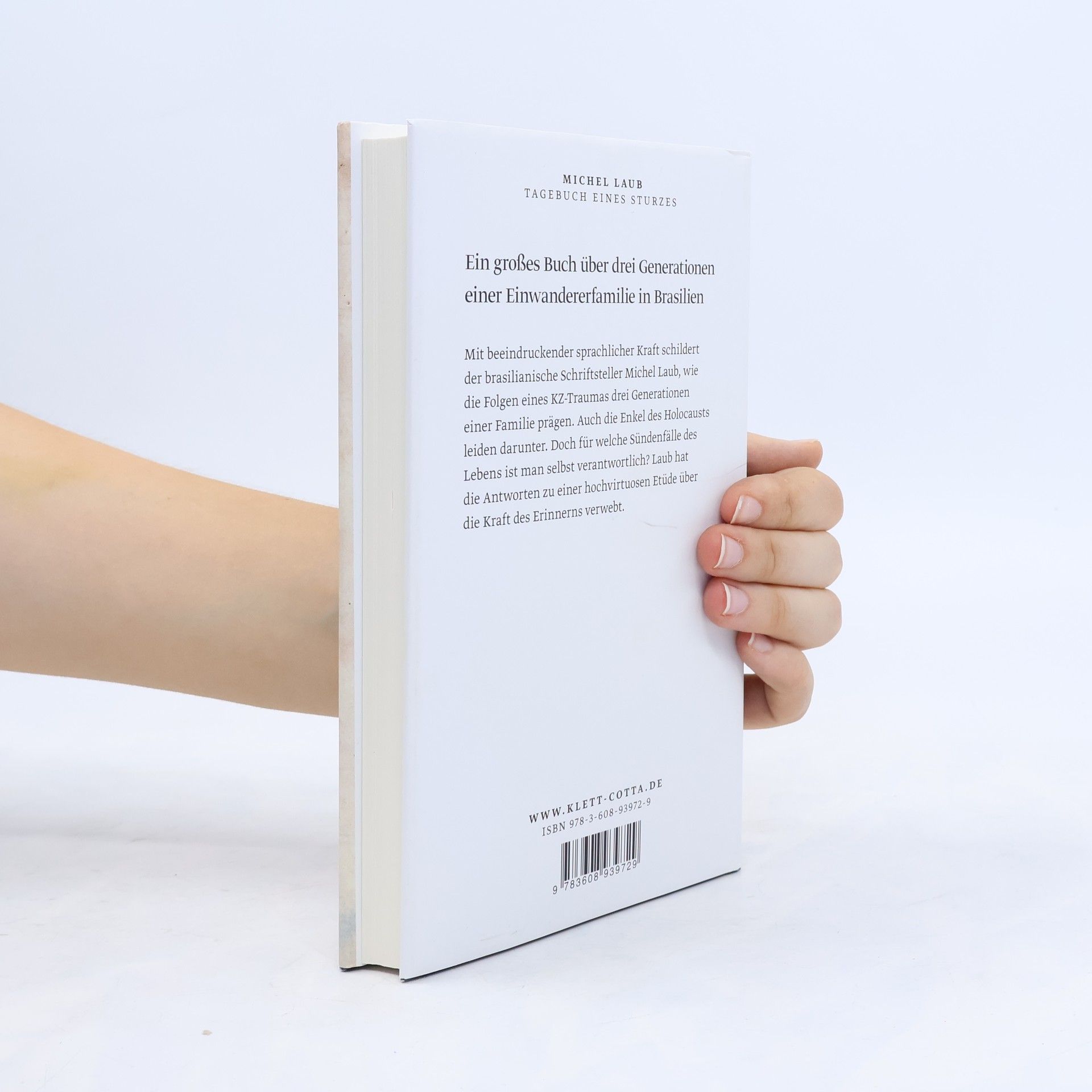 Michel Laub Tagebuch eines Sturzes