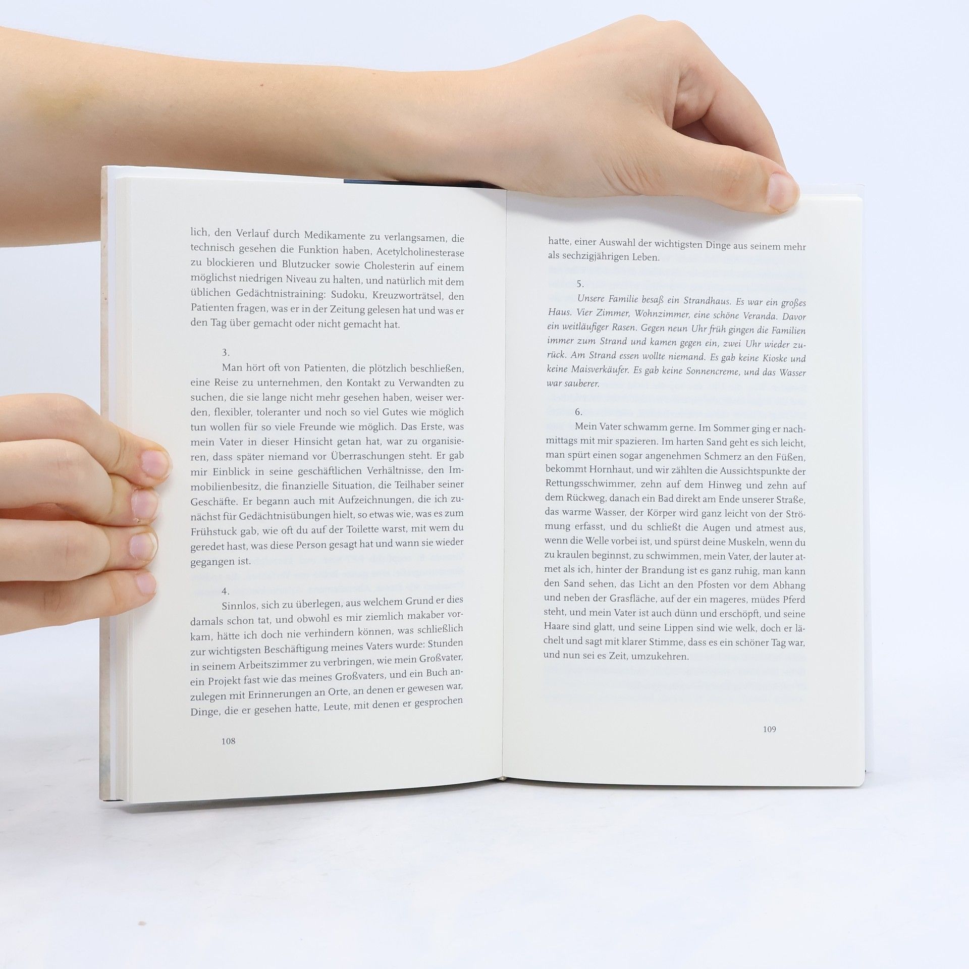 Michel Laub Tagebuch eines Sturzes