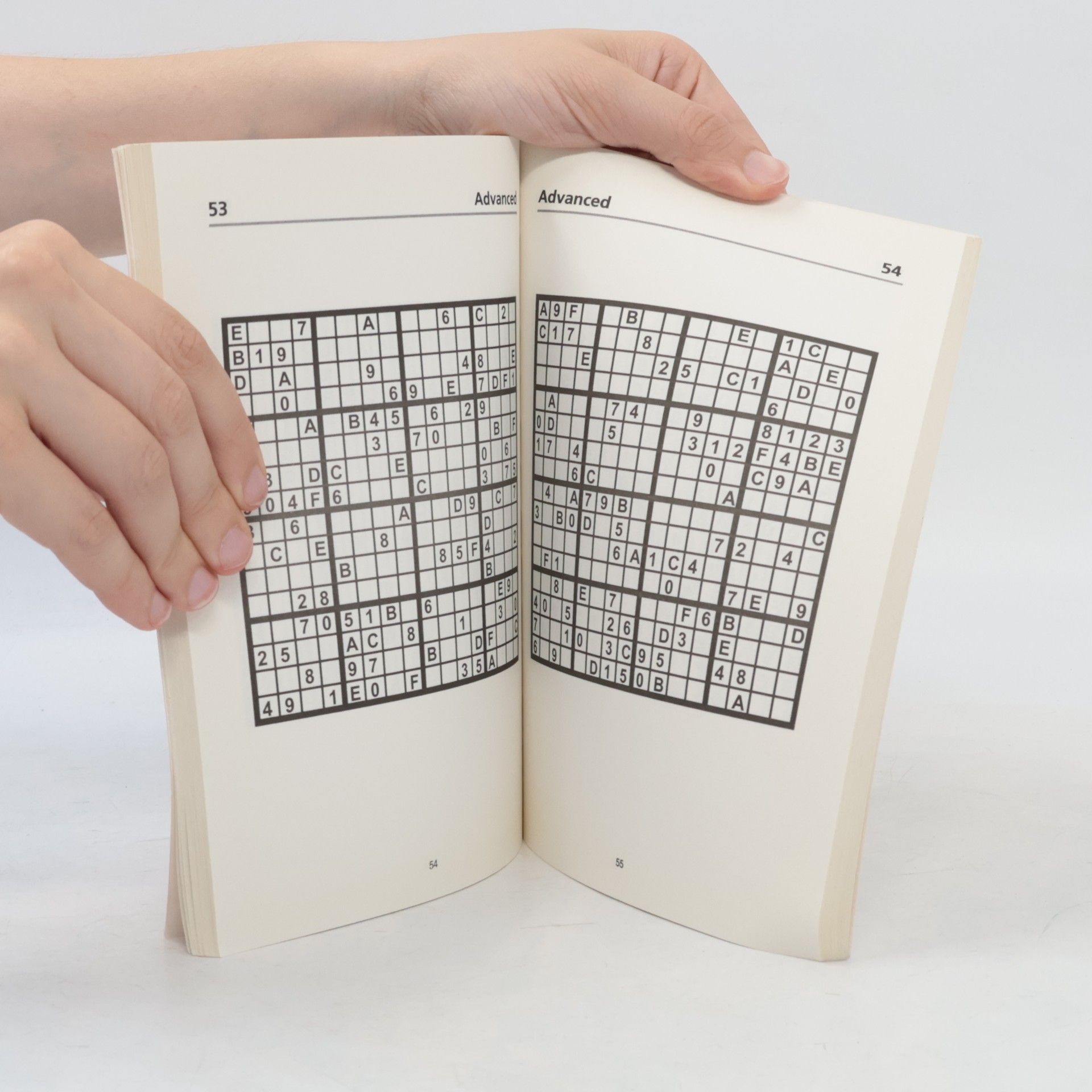 Hazel Norris The Independent Book of Super Sudoku