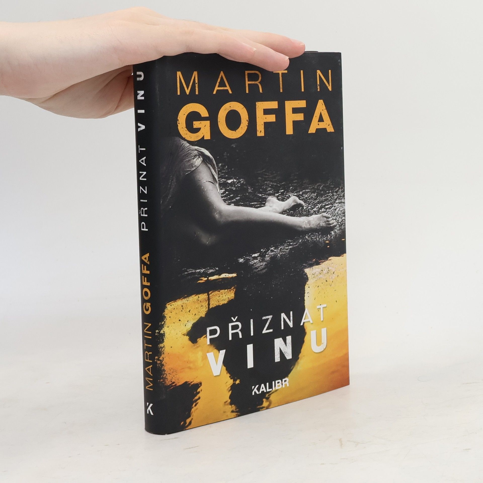 Martin Goffa Přiznat vinu