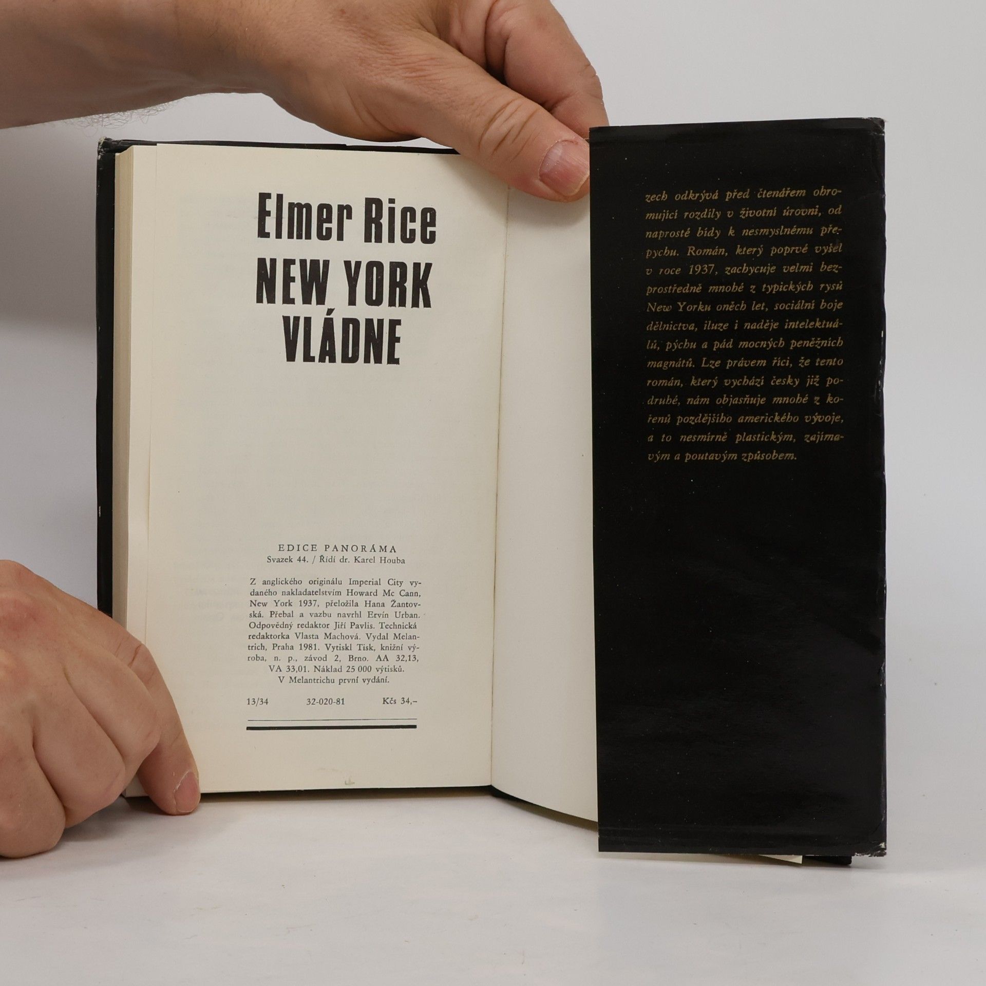 Elmer Rice New York vládne