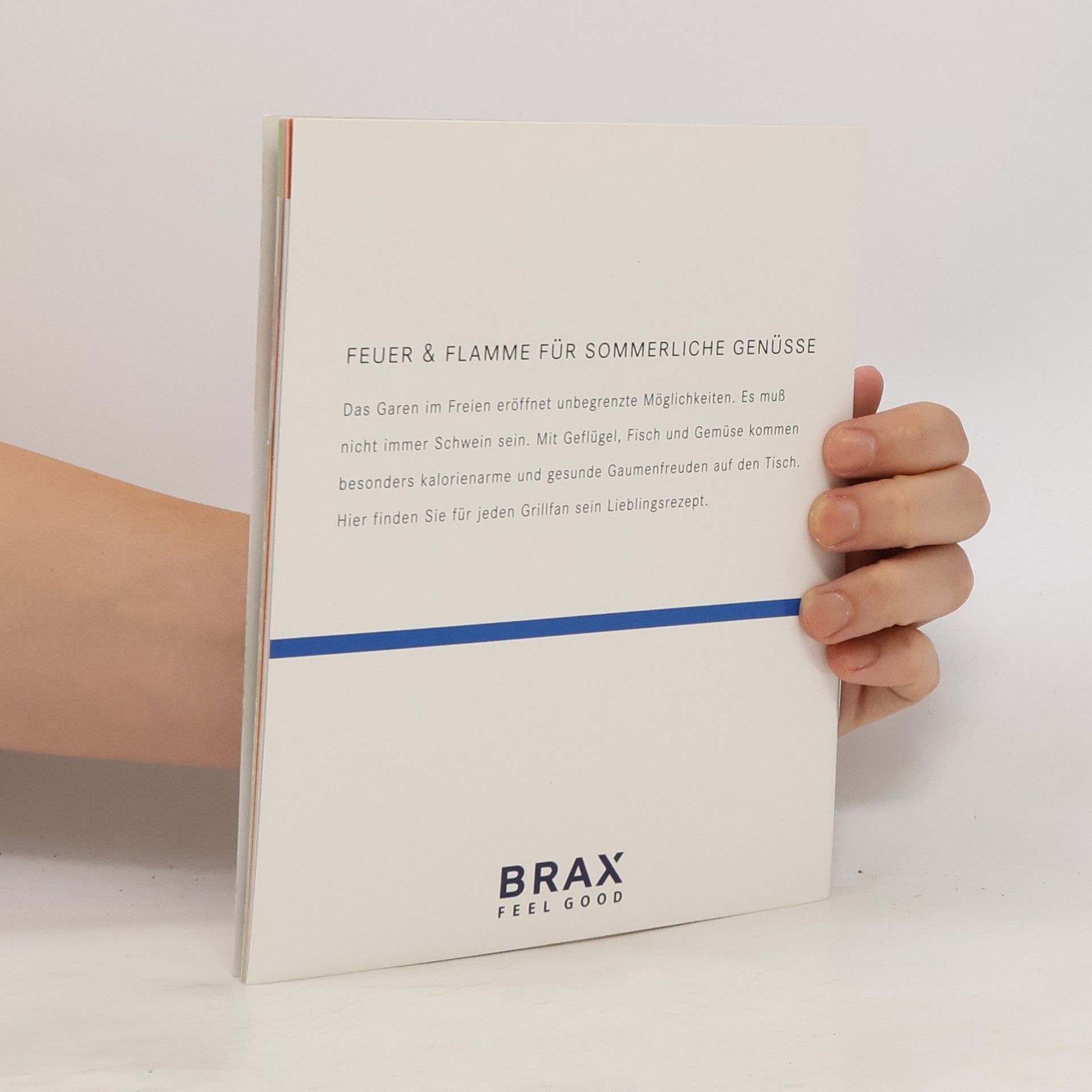 Autores varios Feuer & Flamme für sommerliche Genüsse