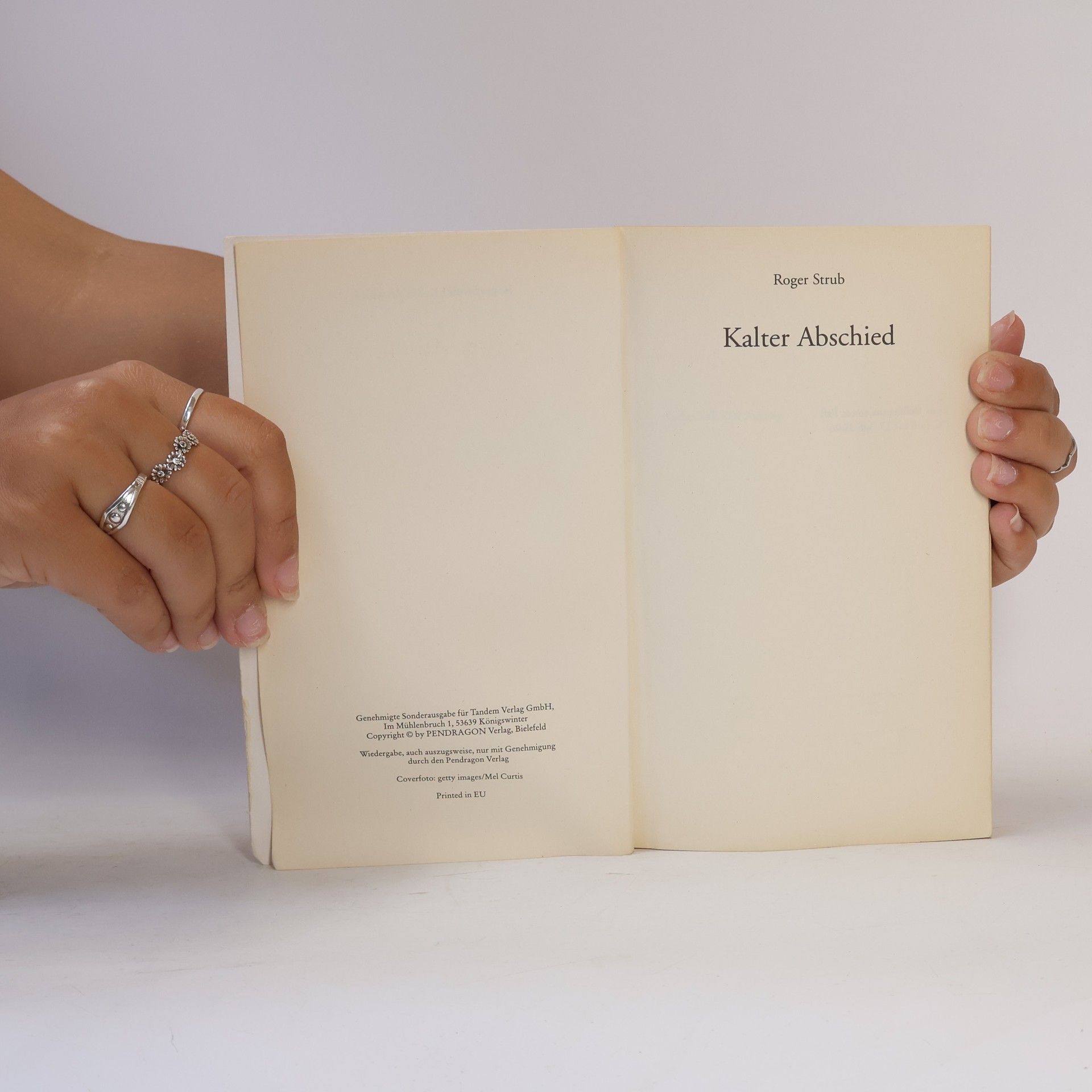 Roger Strub Kalter Abschied