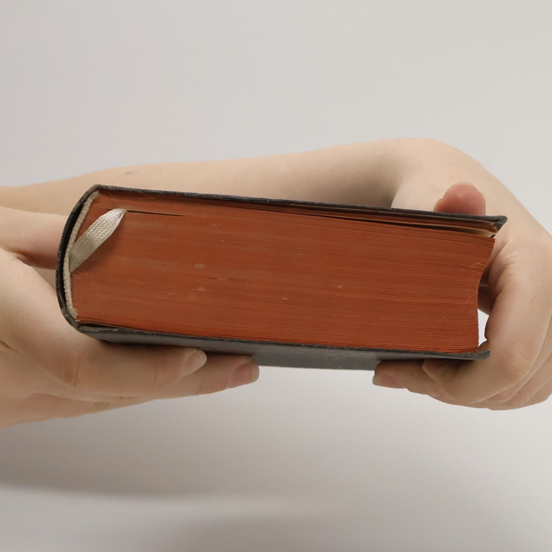 Martin Luther Die heilige Schrift