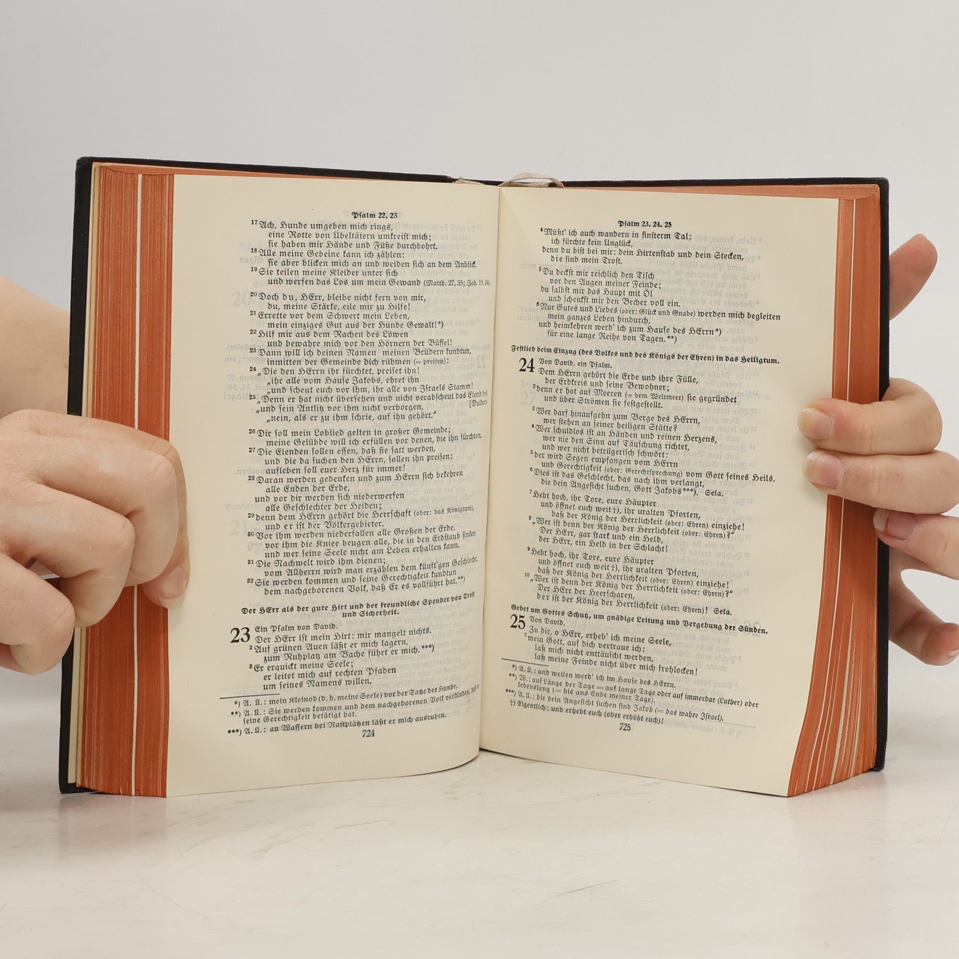 Martin Luther Die heilige Schrift