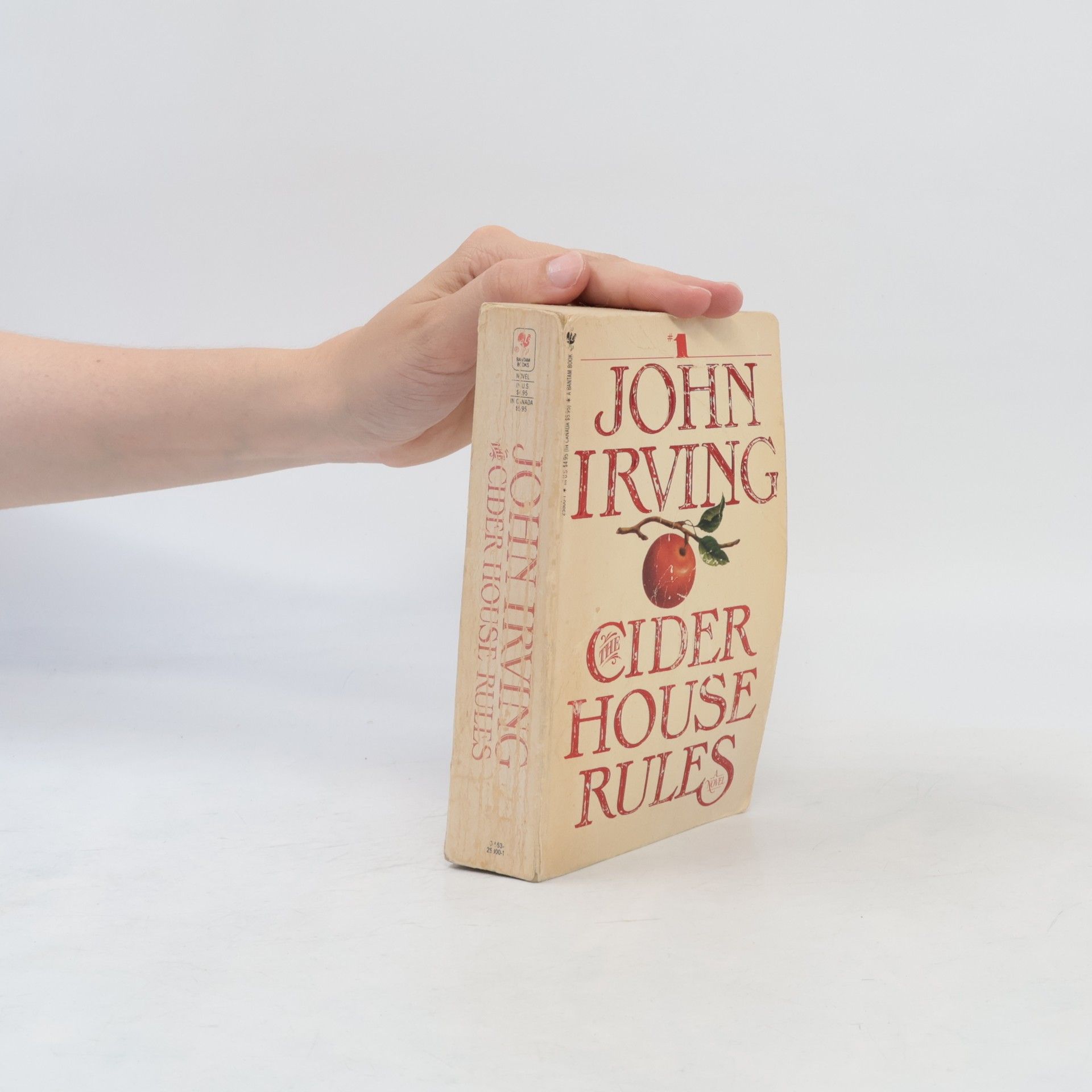 John Irving The Cider House Rules