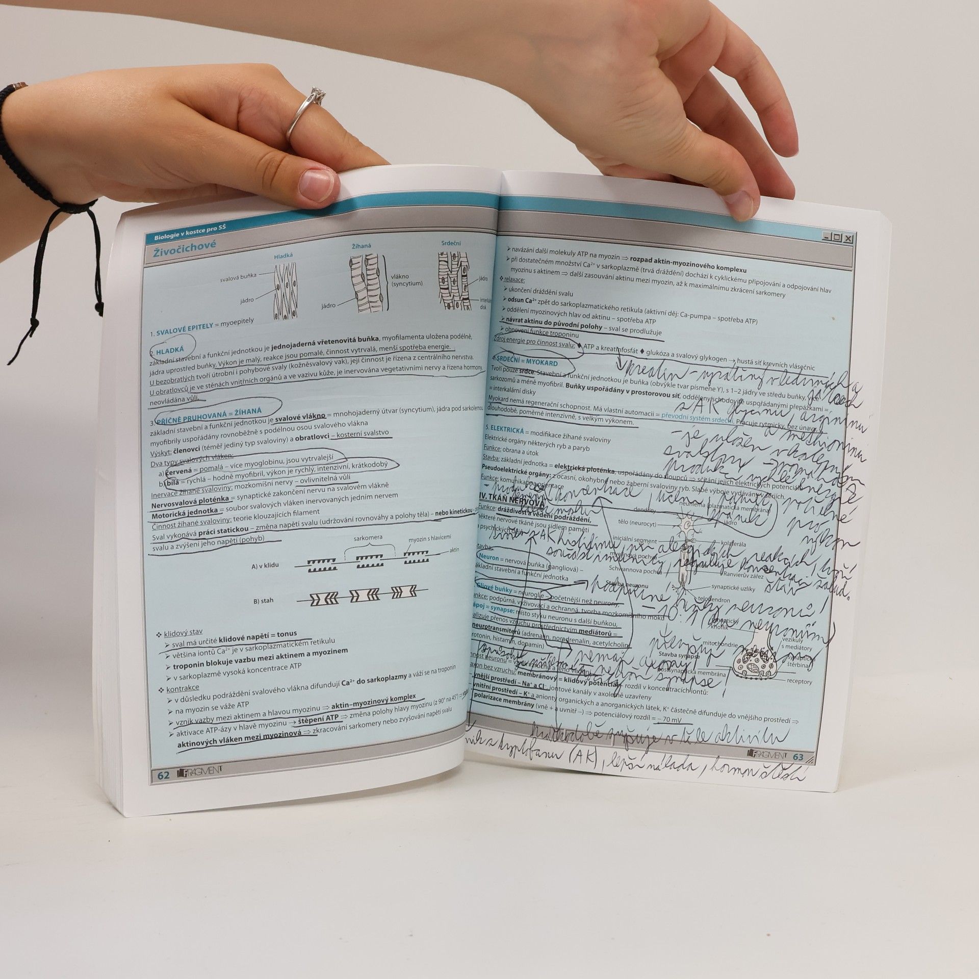 Hana Hančová Biologie v kostce : pro střední školy