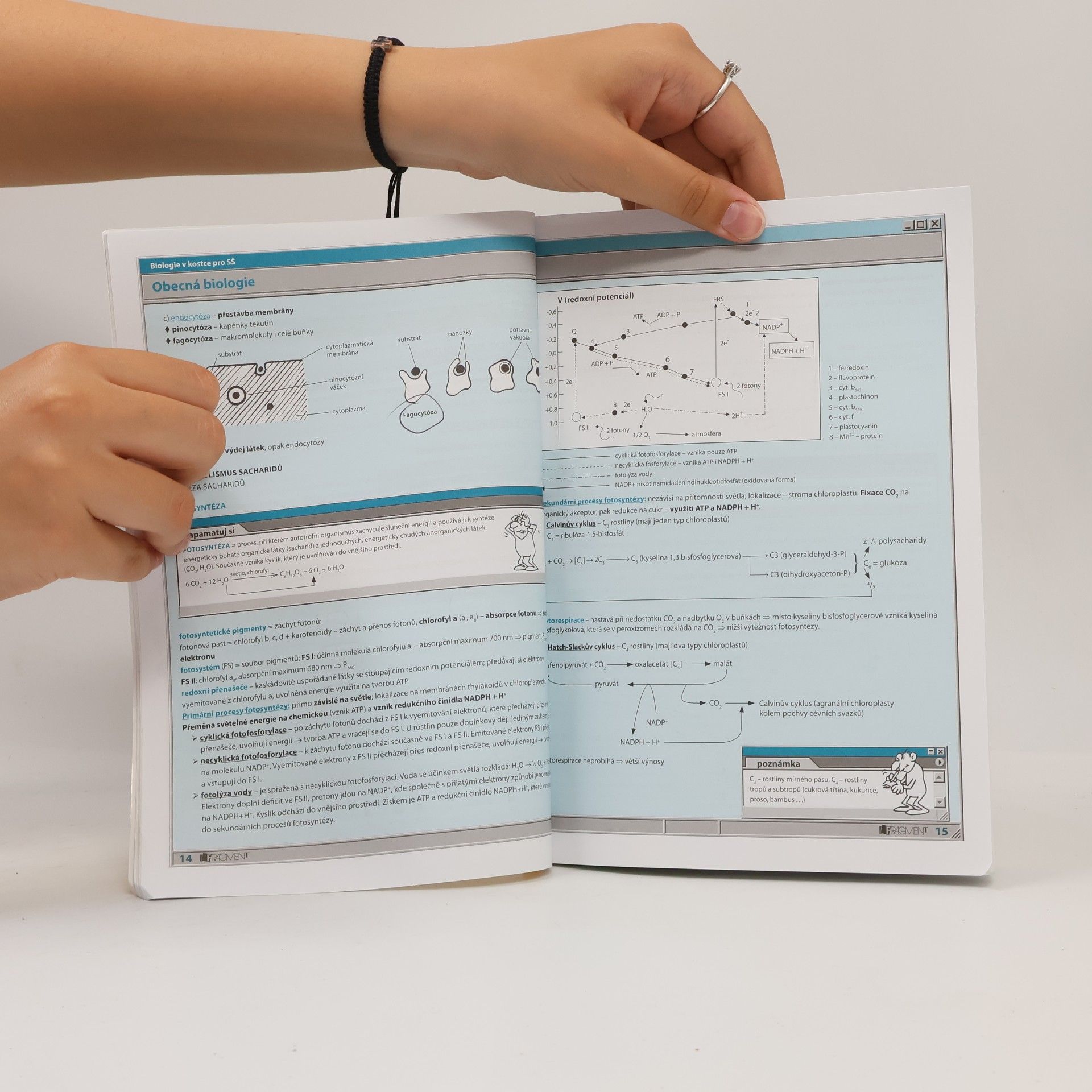 Hana Hančová Biologie v kostce : pro střední školy