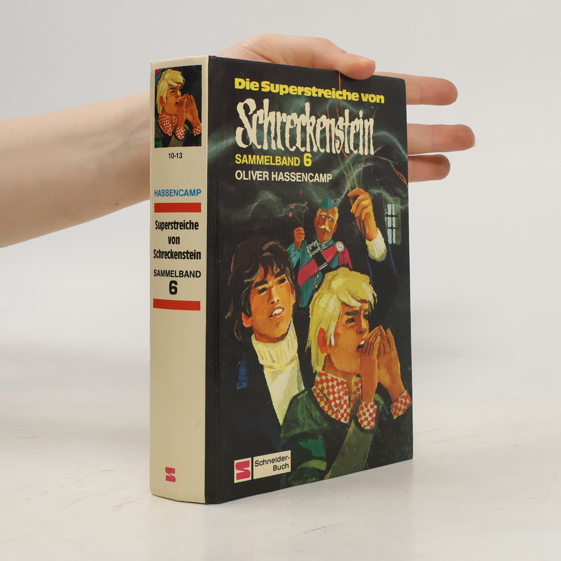 Oliver Hassencamp Die Superstreiche von Schreckenstein