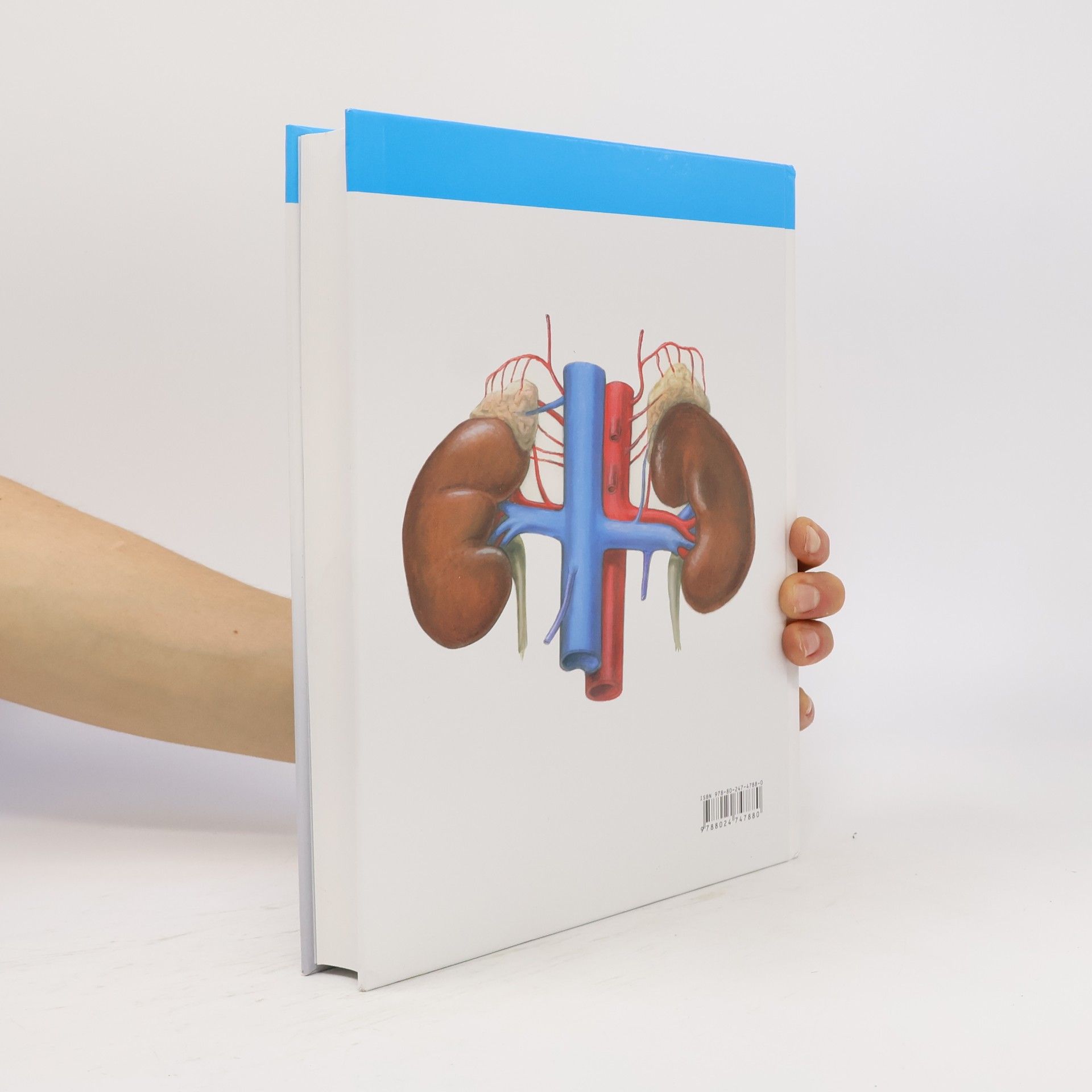 Radomír Čihák Anatomie 2