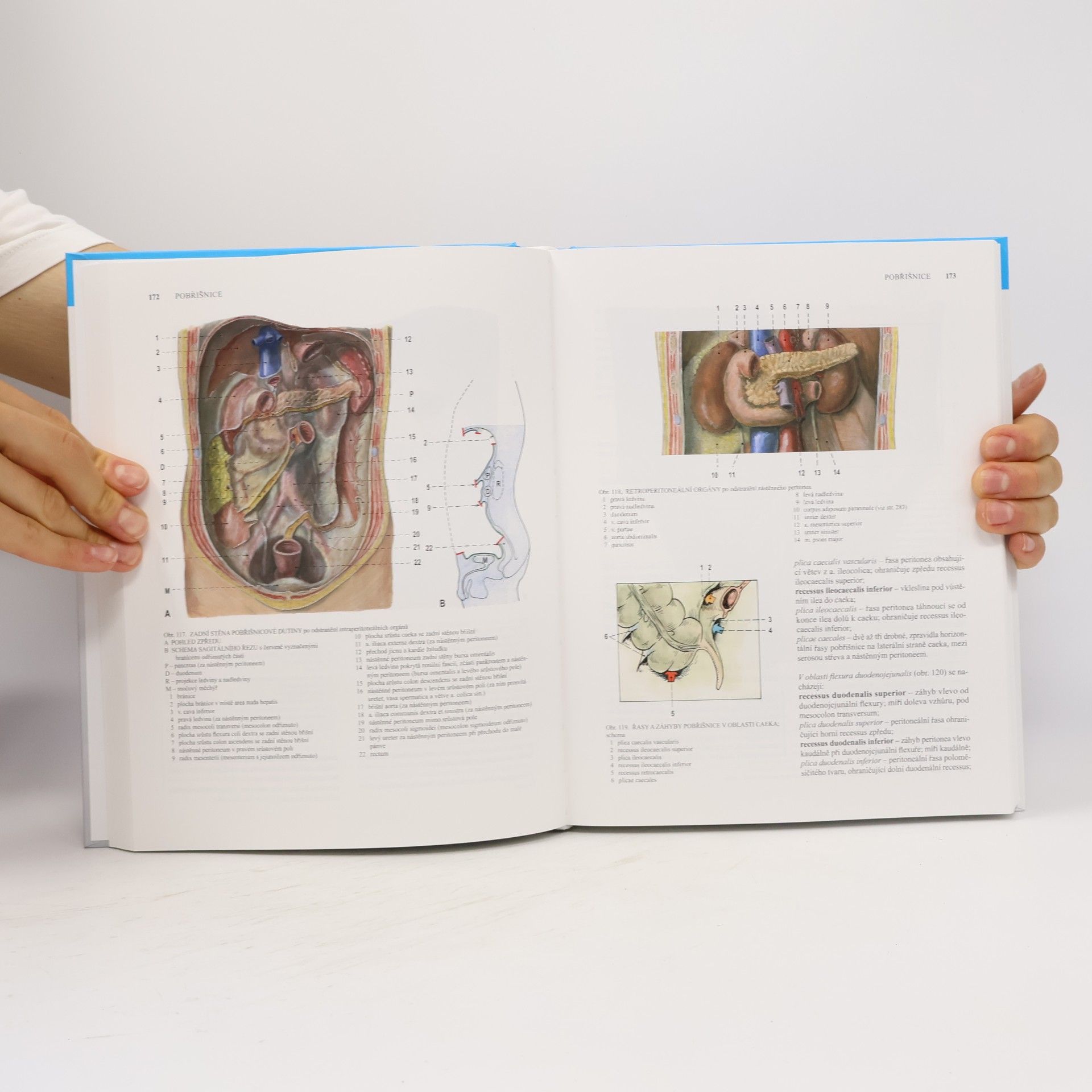 Radomír Čihák Anatomie 2