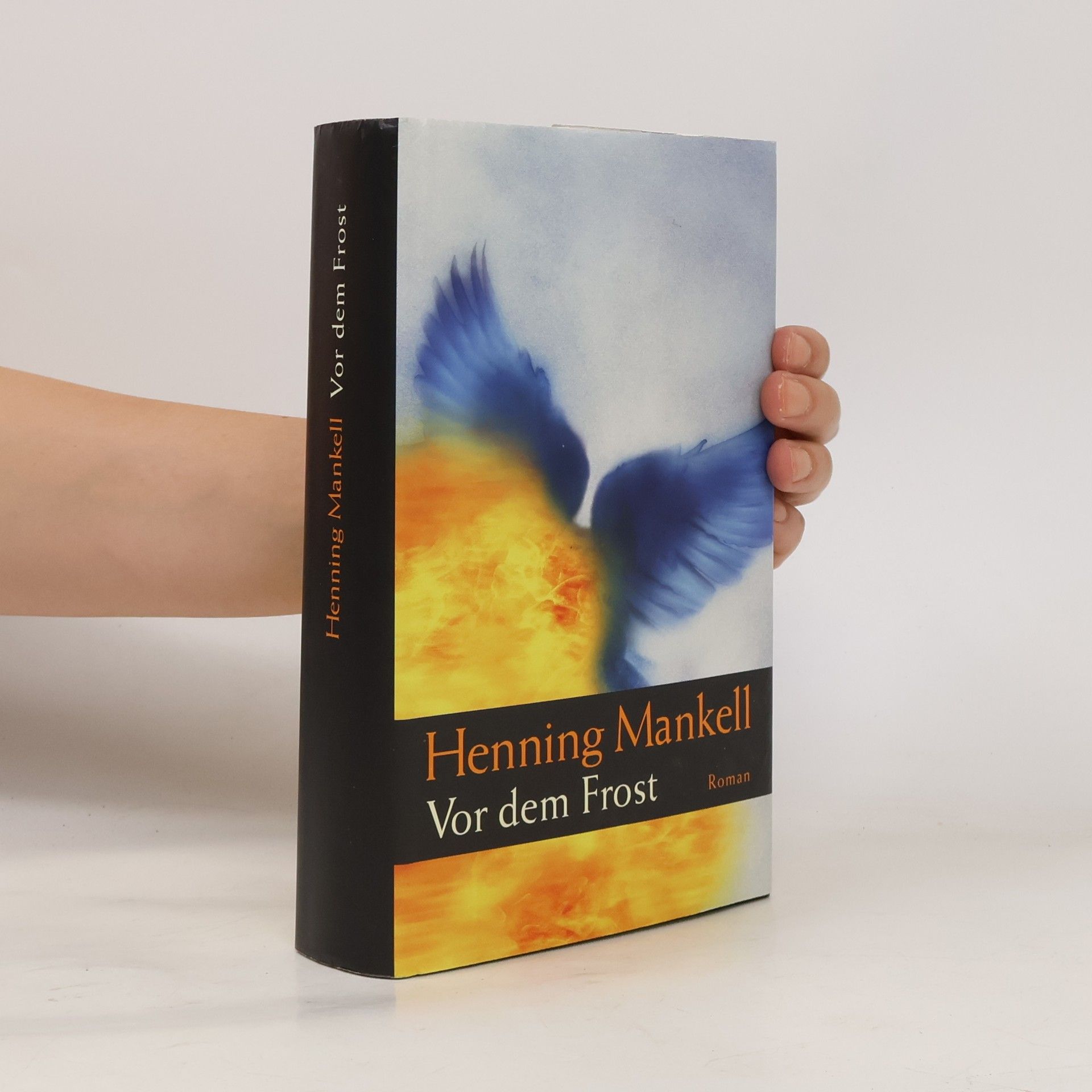 Henning Mankell Vor dem Frost