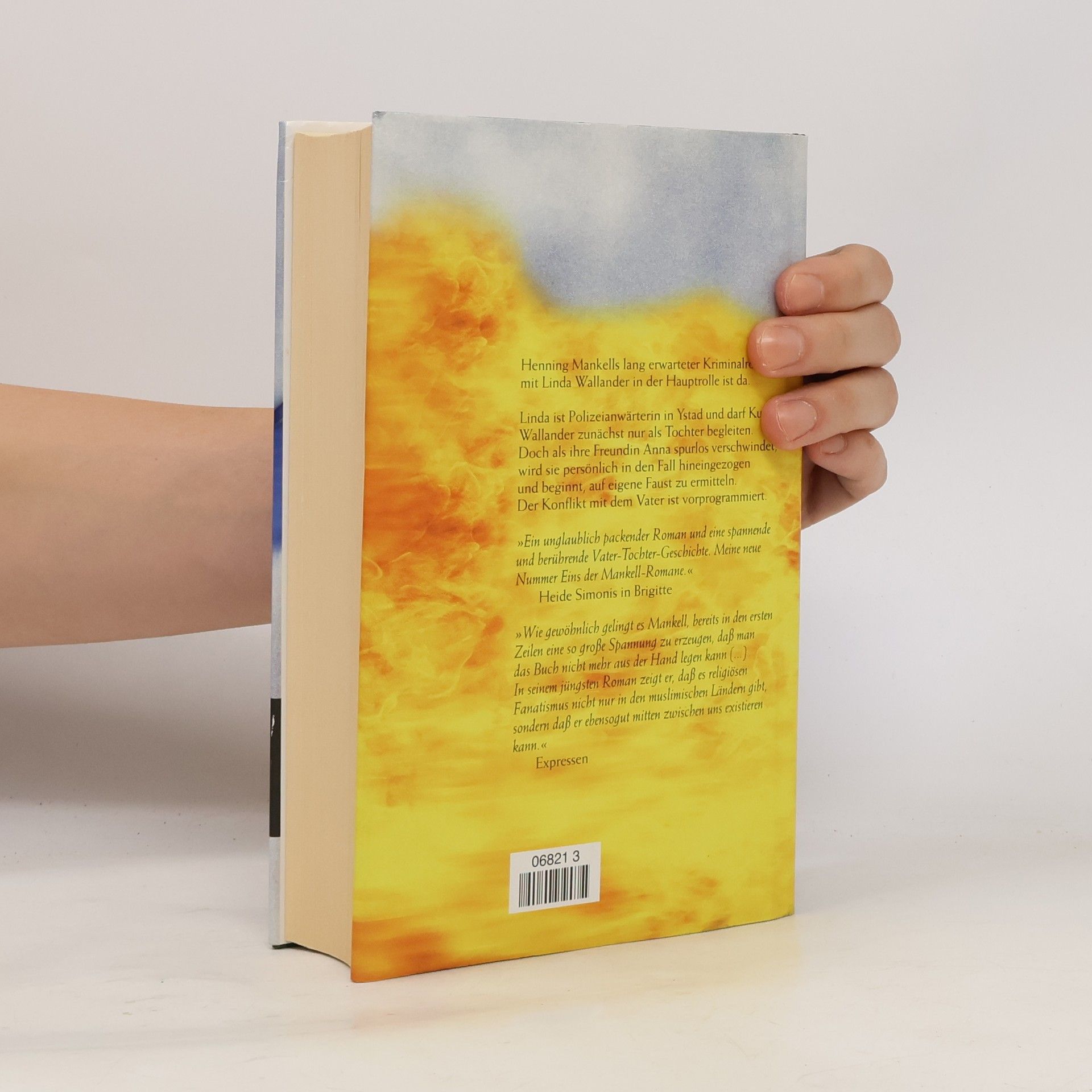 Henning Mankell Vor dem Frost