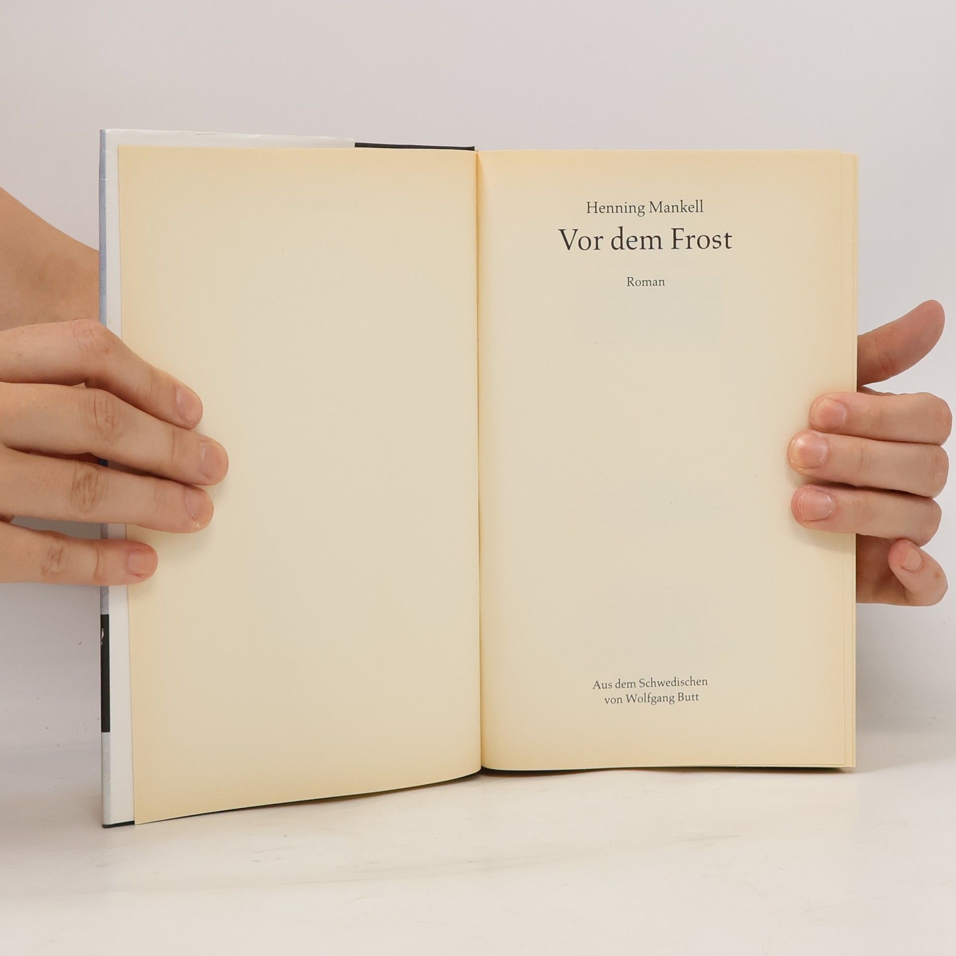 Henning Mankell Vor dem Frost