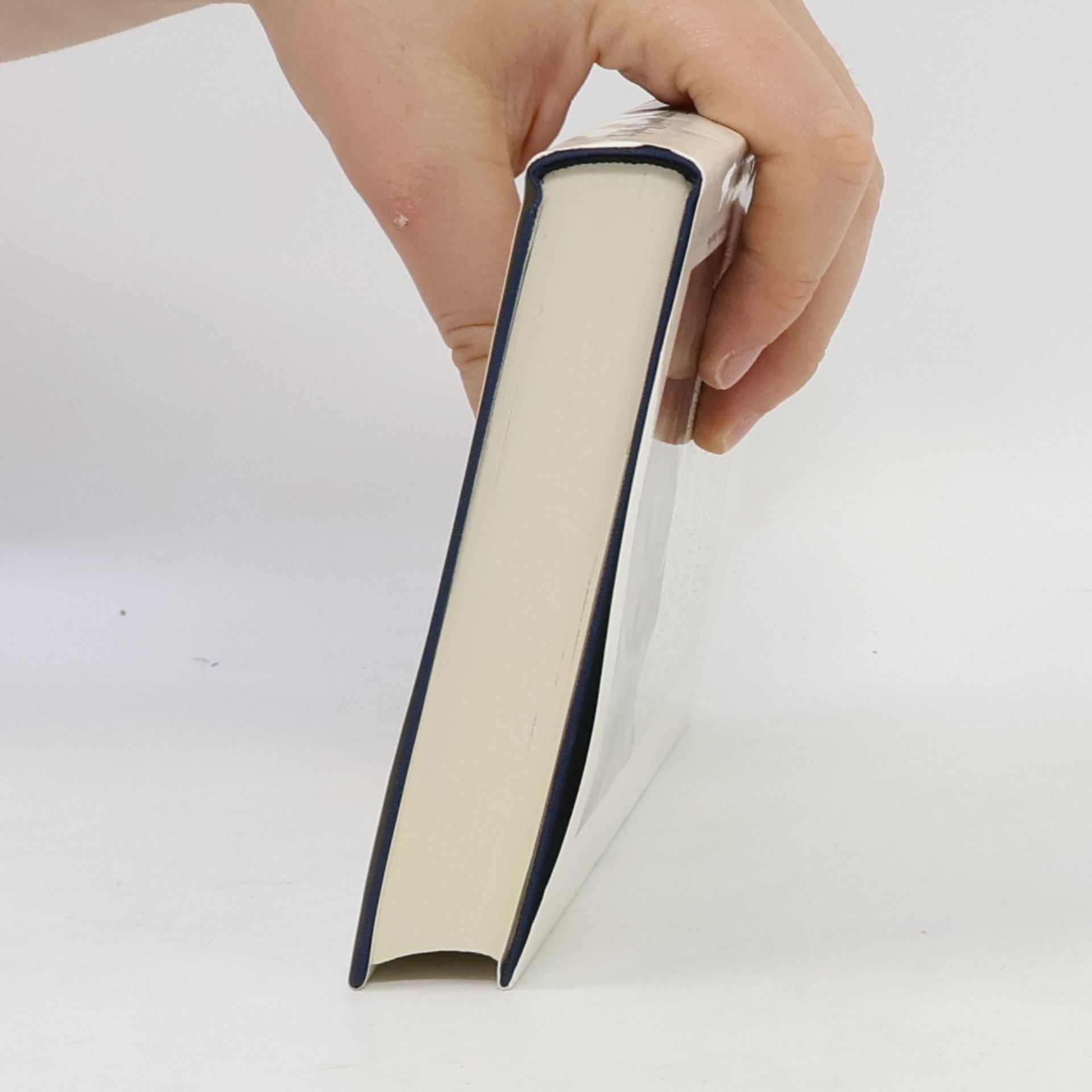 Donna Leon Auf Treu und Glauben