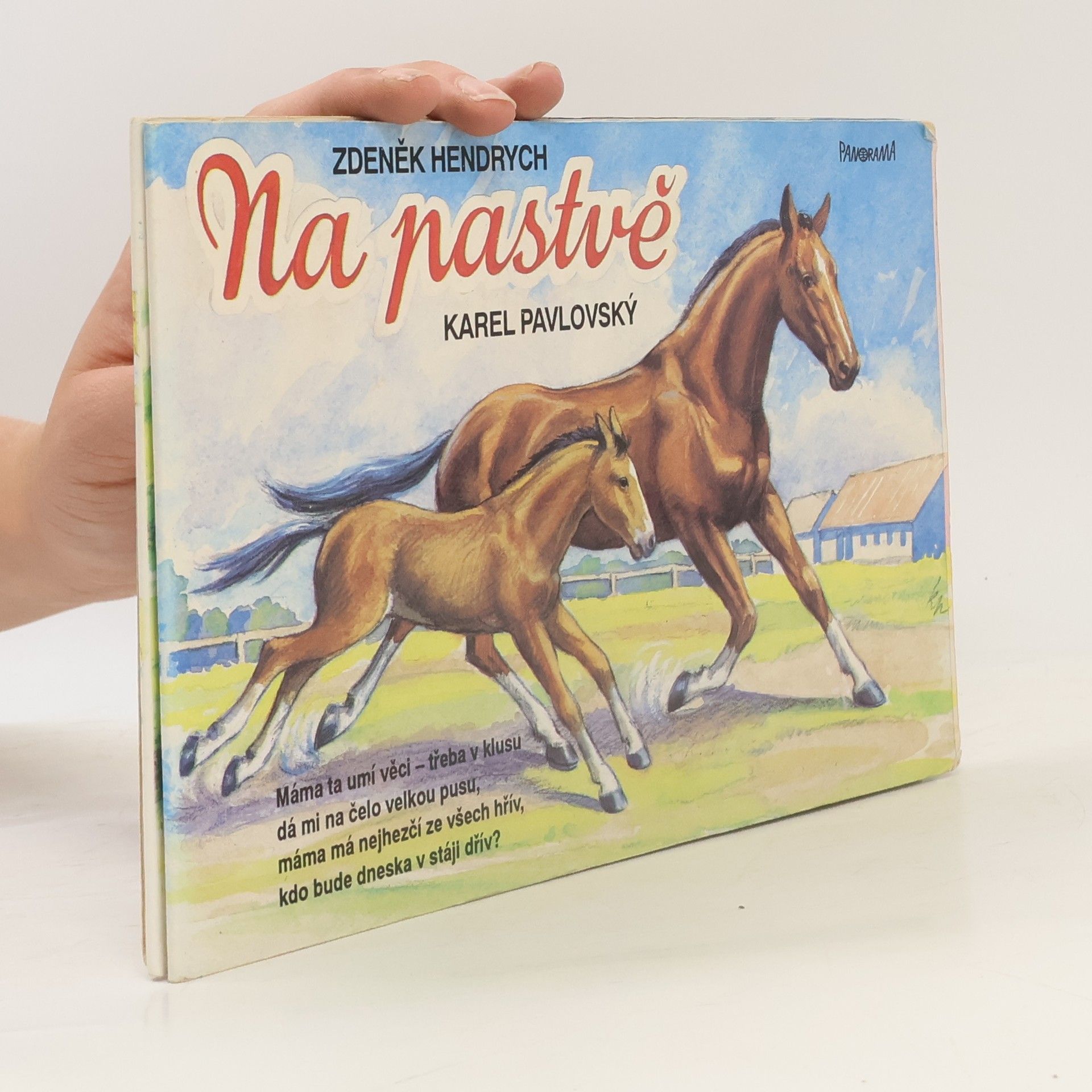 Na pastvě