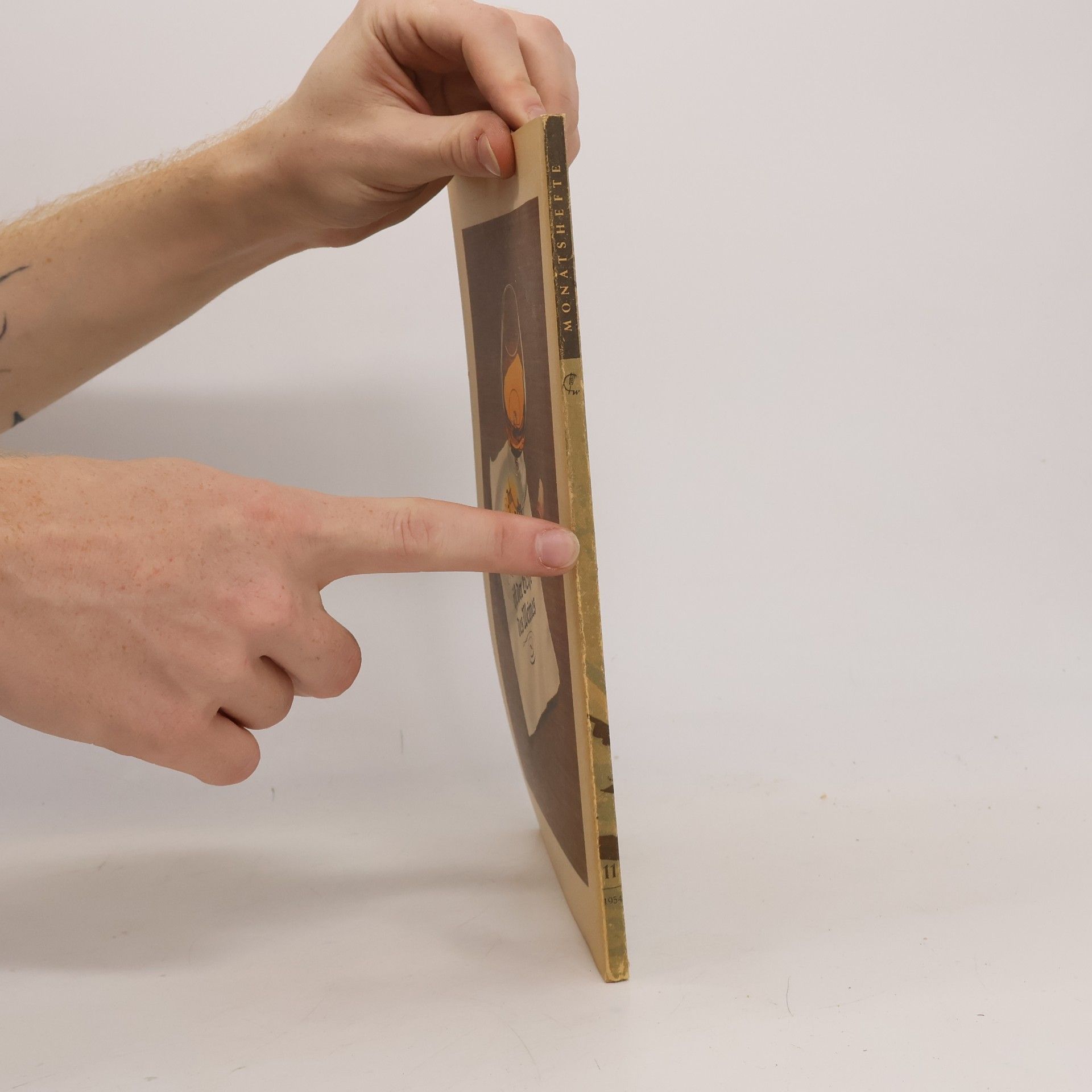 Autores varios Monatshefte 11