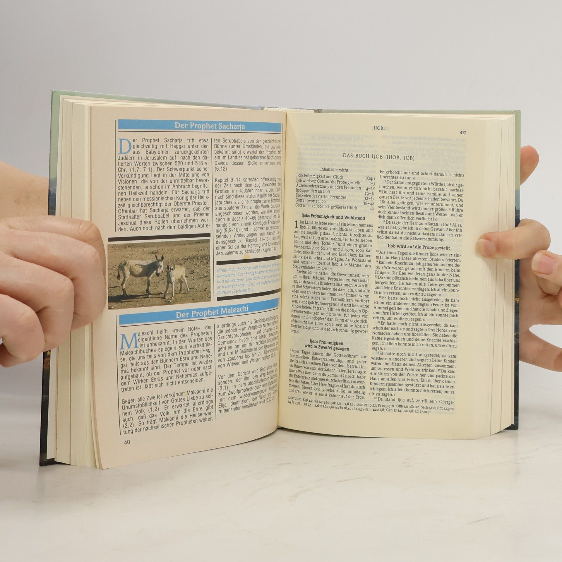 Various authors Gute Nachricht Bibel mit Einführungen und Bildern