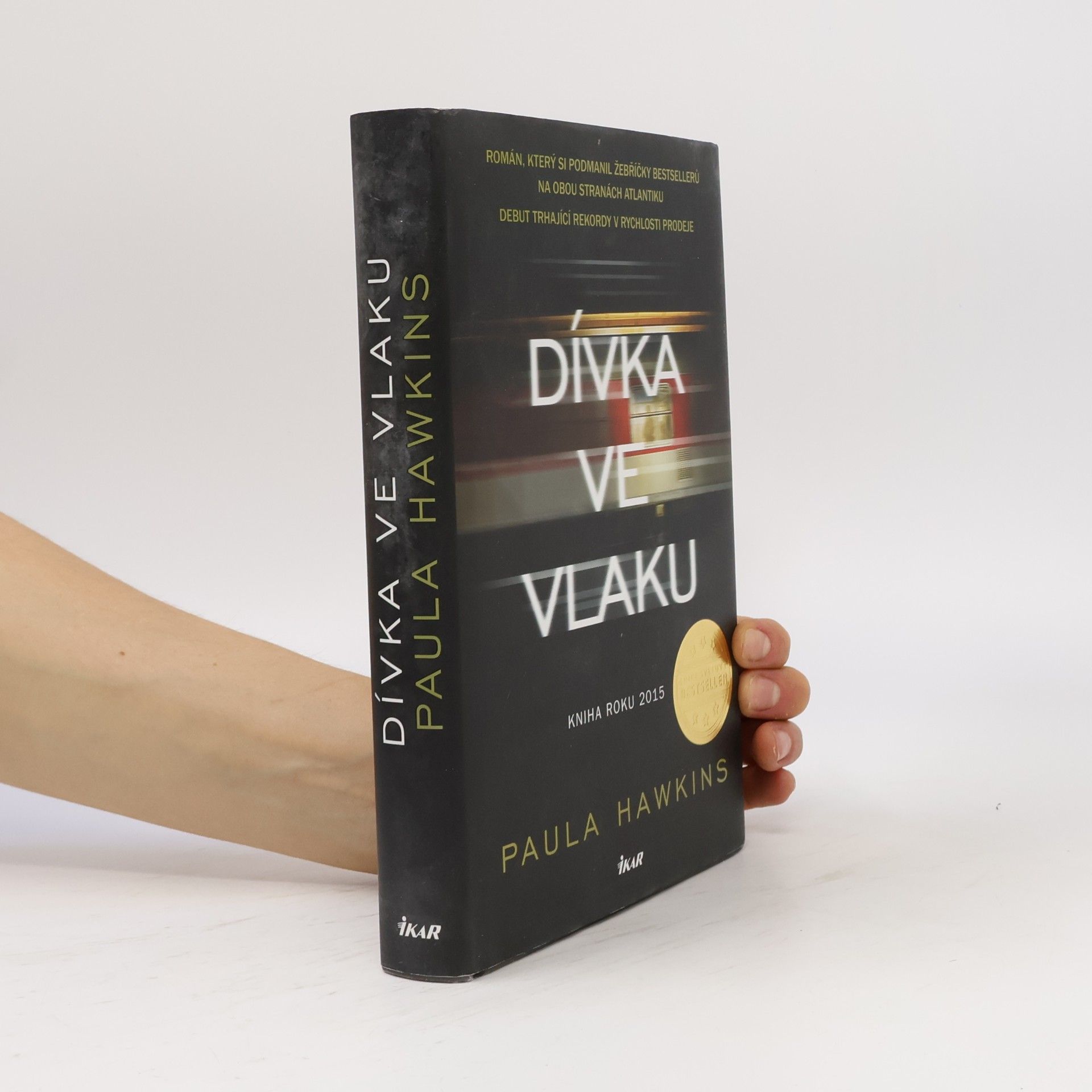 Dívka ve vlaku
