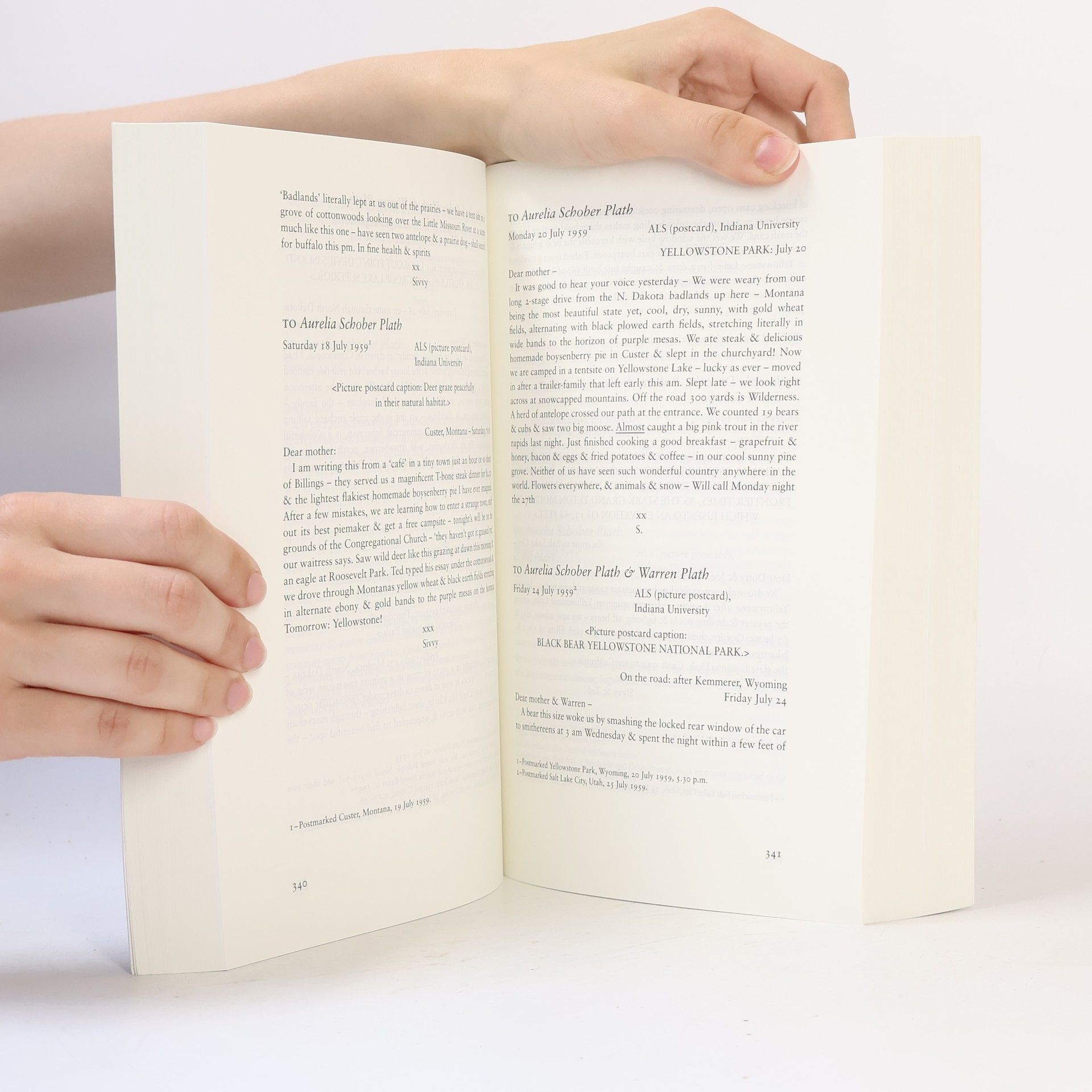 Kolektiv autorů Letters of Sylvia Plath Volume II