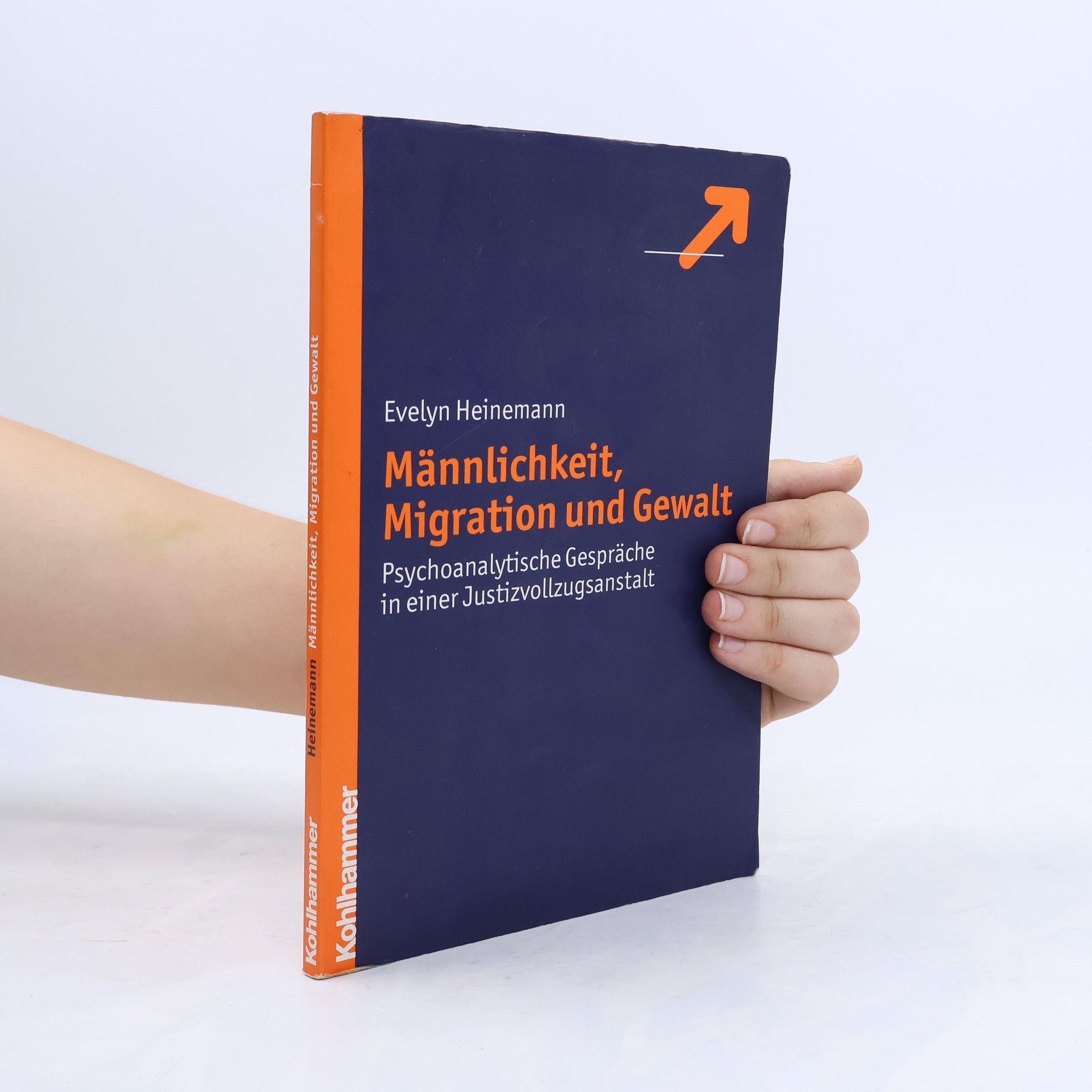 Evelyn Heinemann Männlichkeit, Migration und Gewalt