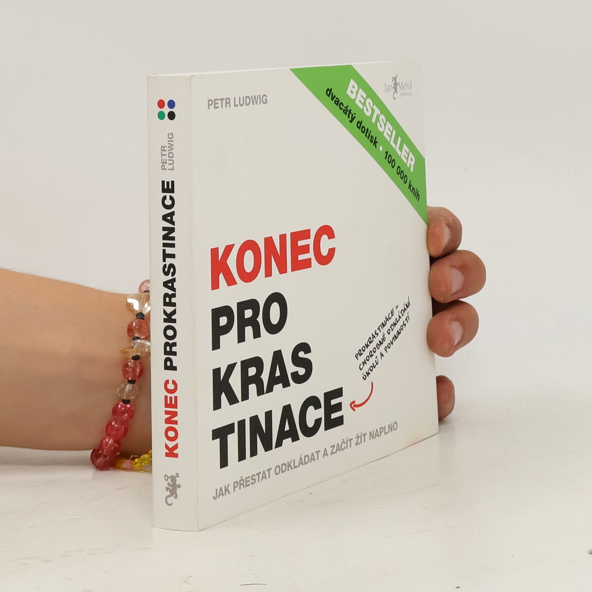 Petr Ludwig Konec prokrastinace