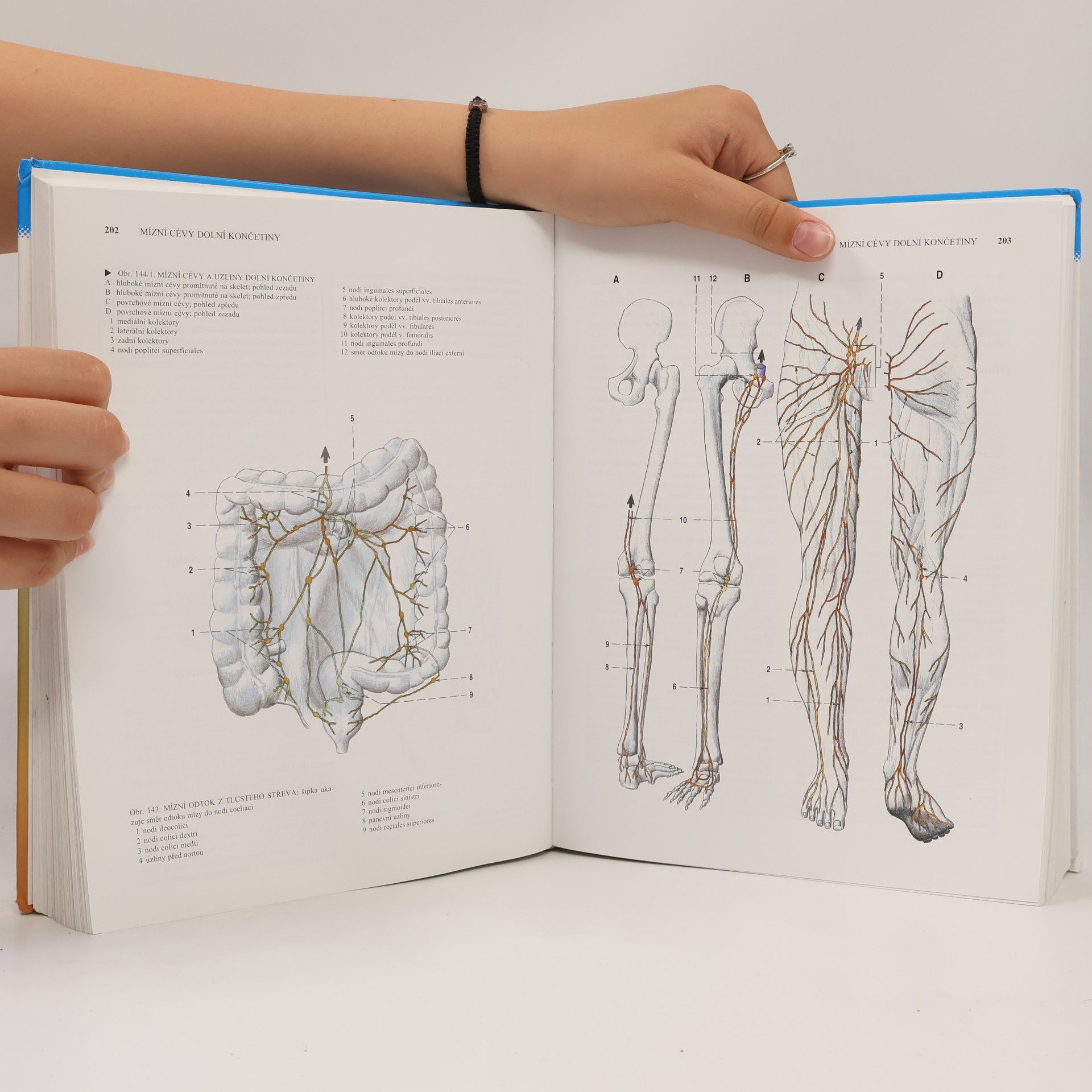 Radomír Čihák Anatomie 3