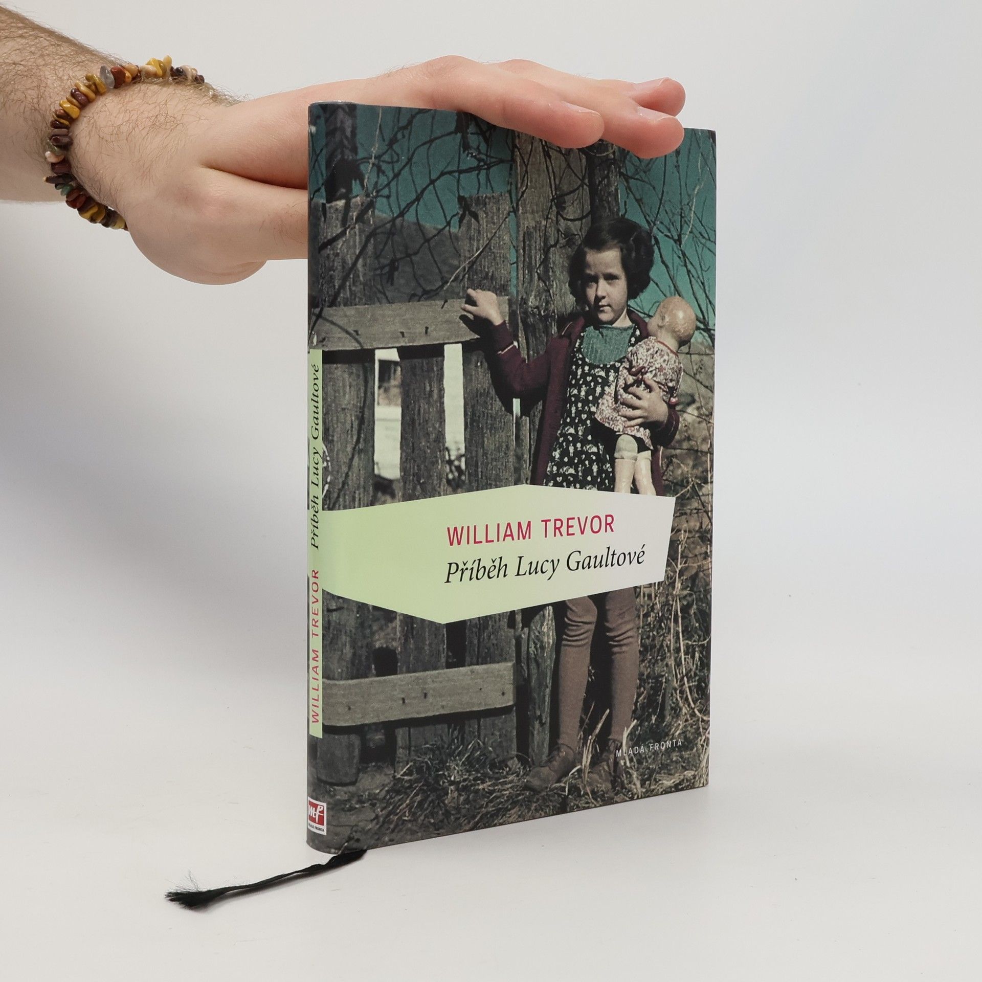 William Trevor Příběh Lucy Gaultové