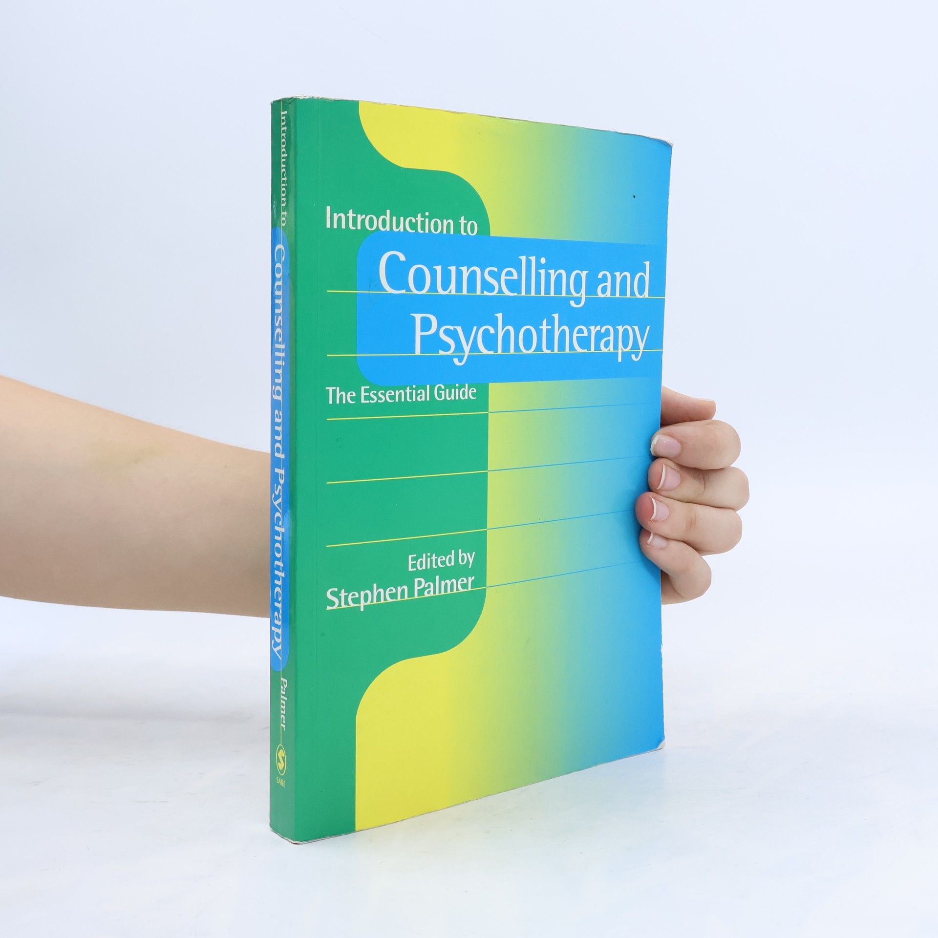 Stephen Palmer Counselling in Action series: Introduction to Counselling and Psychotherapy