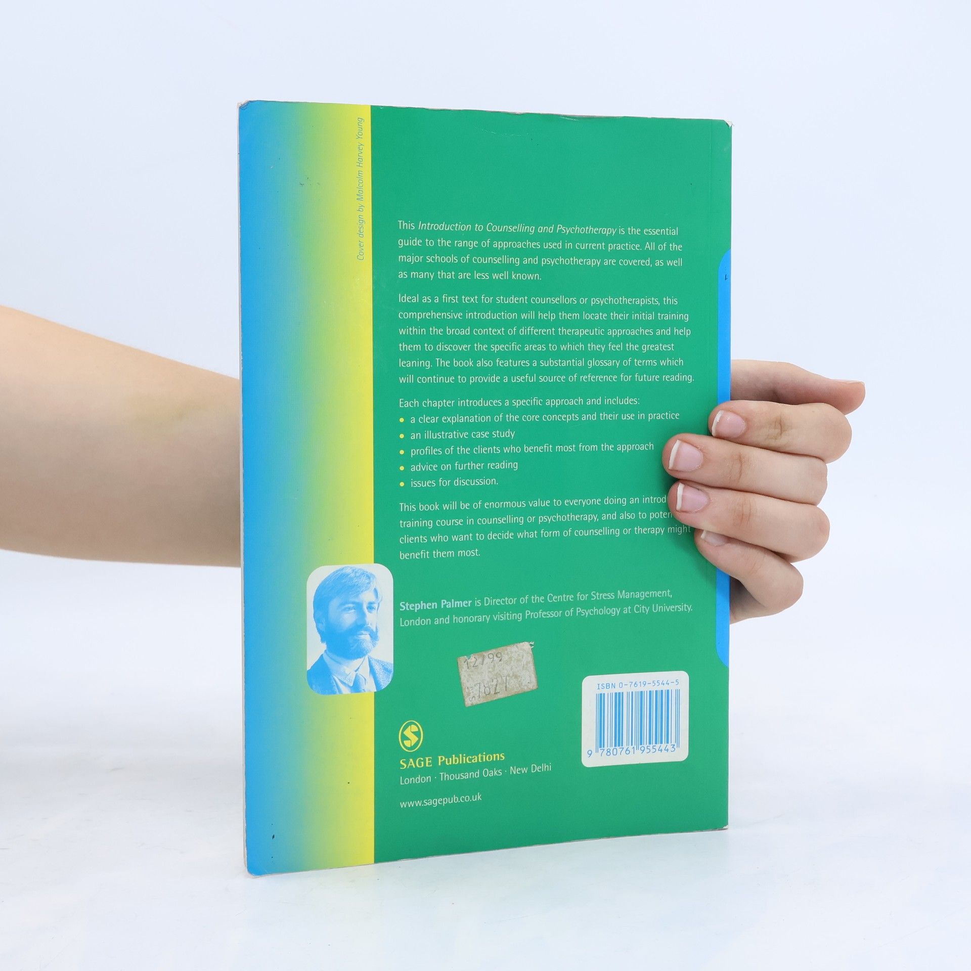 Stephen Palmer Counselling in Action series: Introduction to Counselling and Psychotherapy