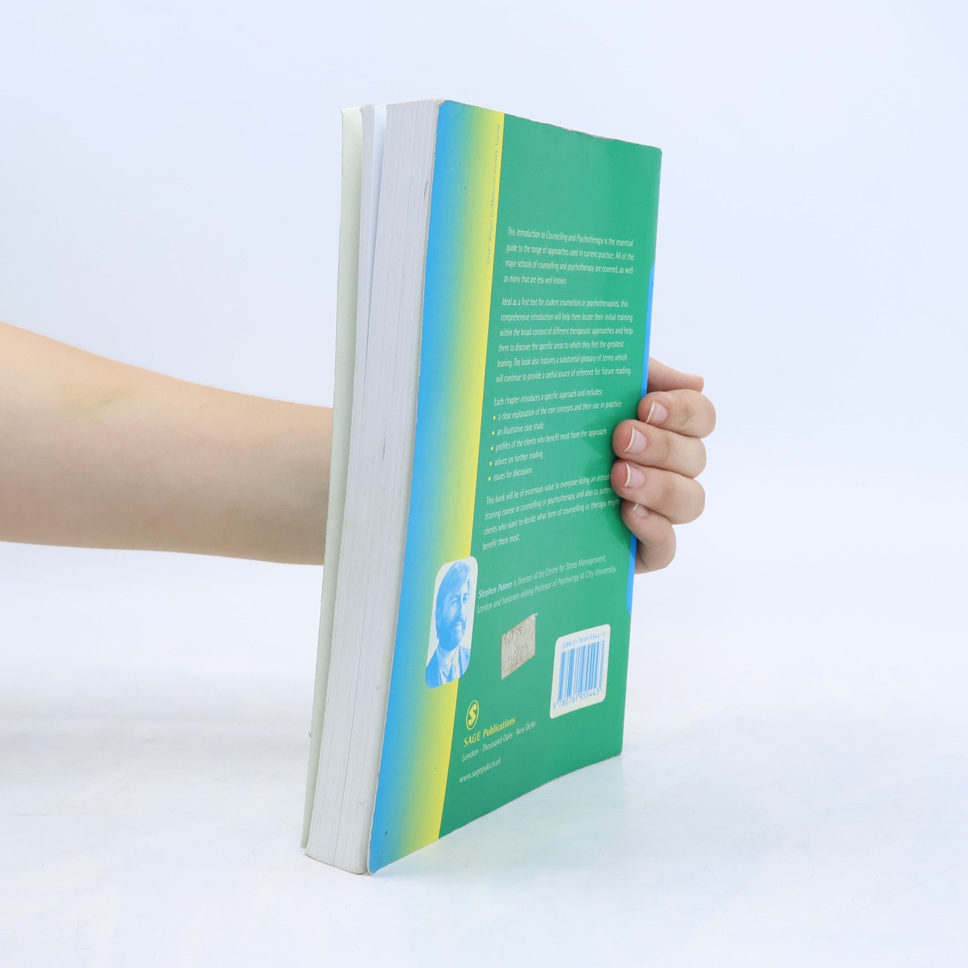 Stephen Palmer Counselling in Action series: Introduction to Counselling and Psychotherapy
