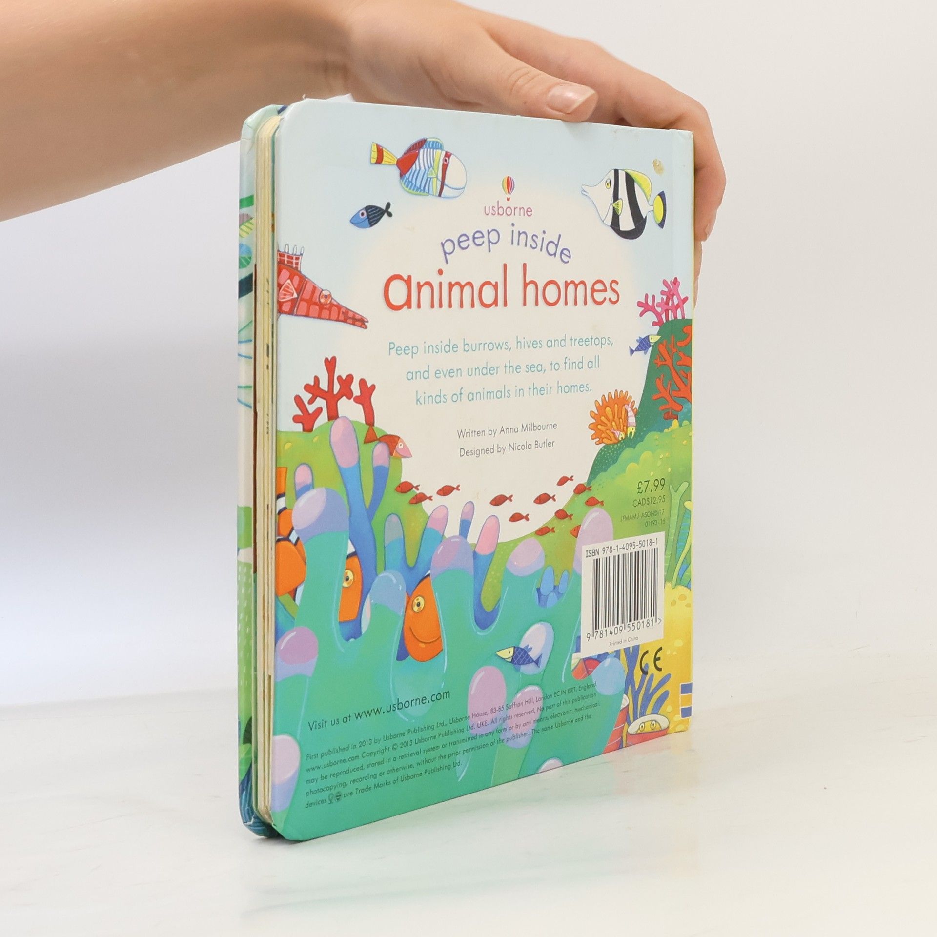 Anna Milbourne Peep Inside Animal Homes
