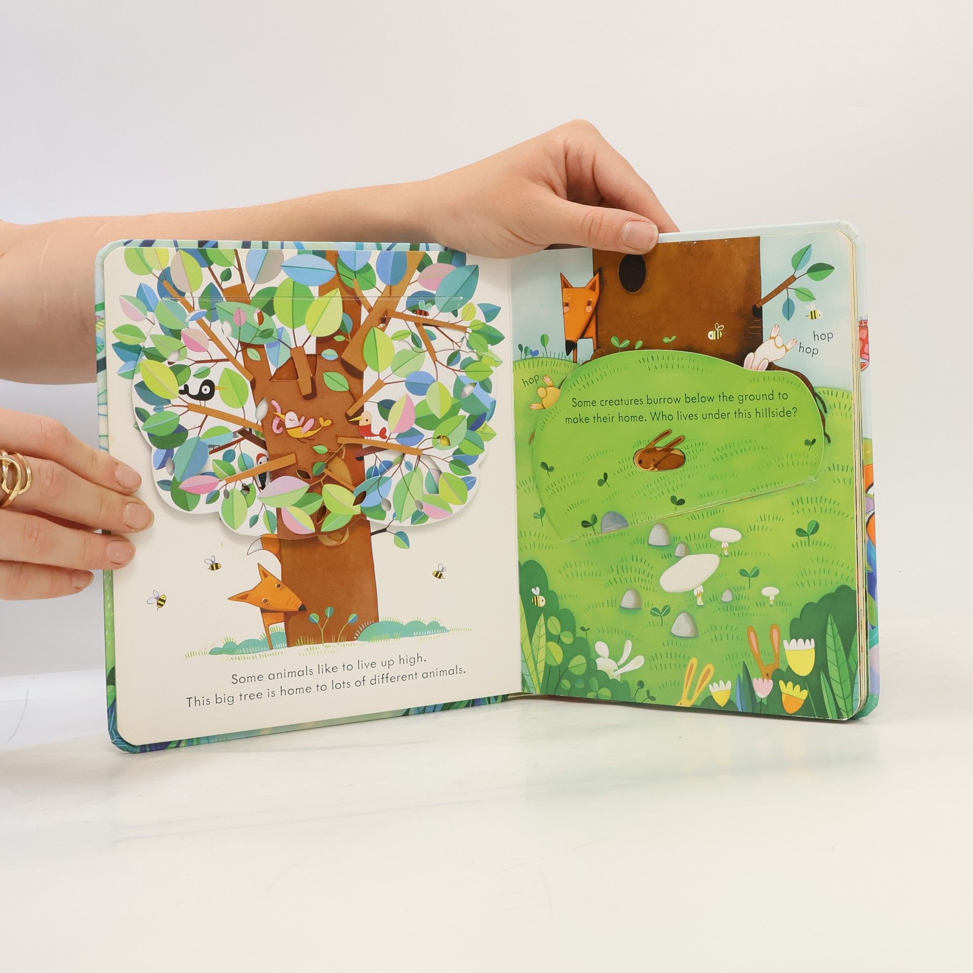 Anna Milbourne Peep Inside Animal Homes