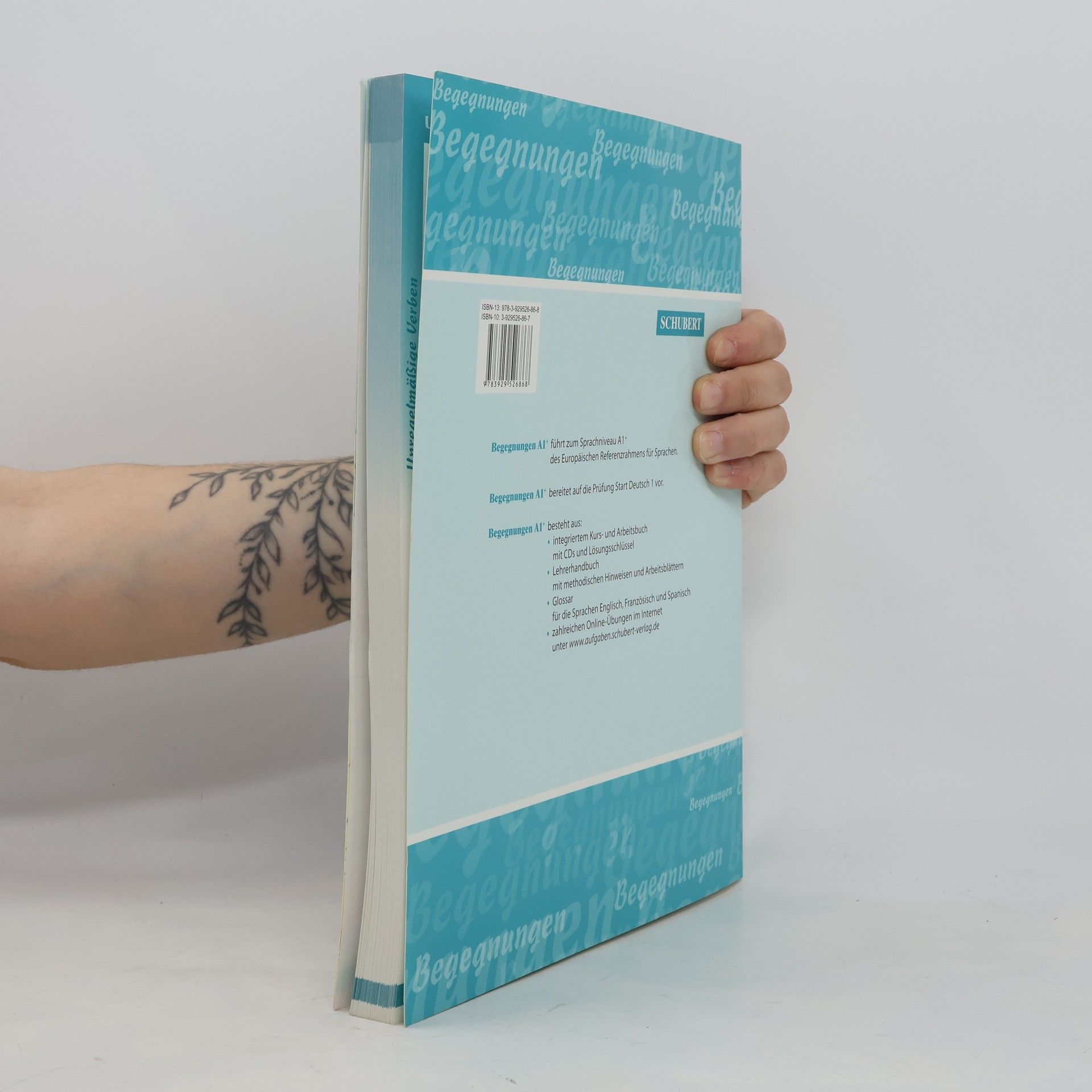 Anne Buscha Begegnungen : Integriertes Kurs- und Arbeitsbuch : Sprachniveau A1+