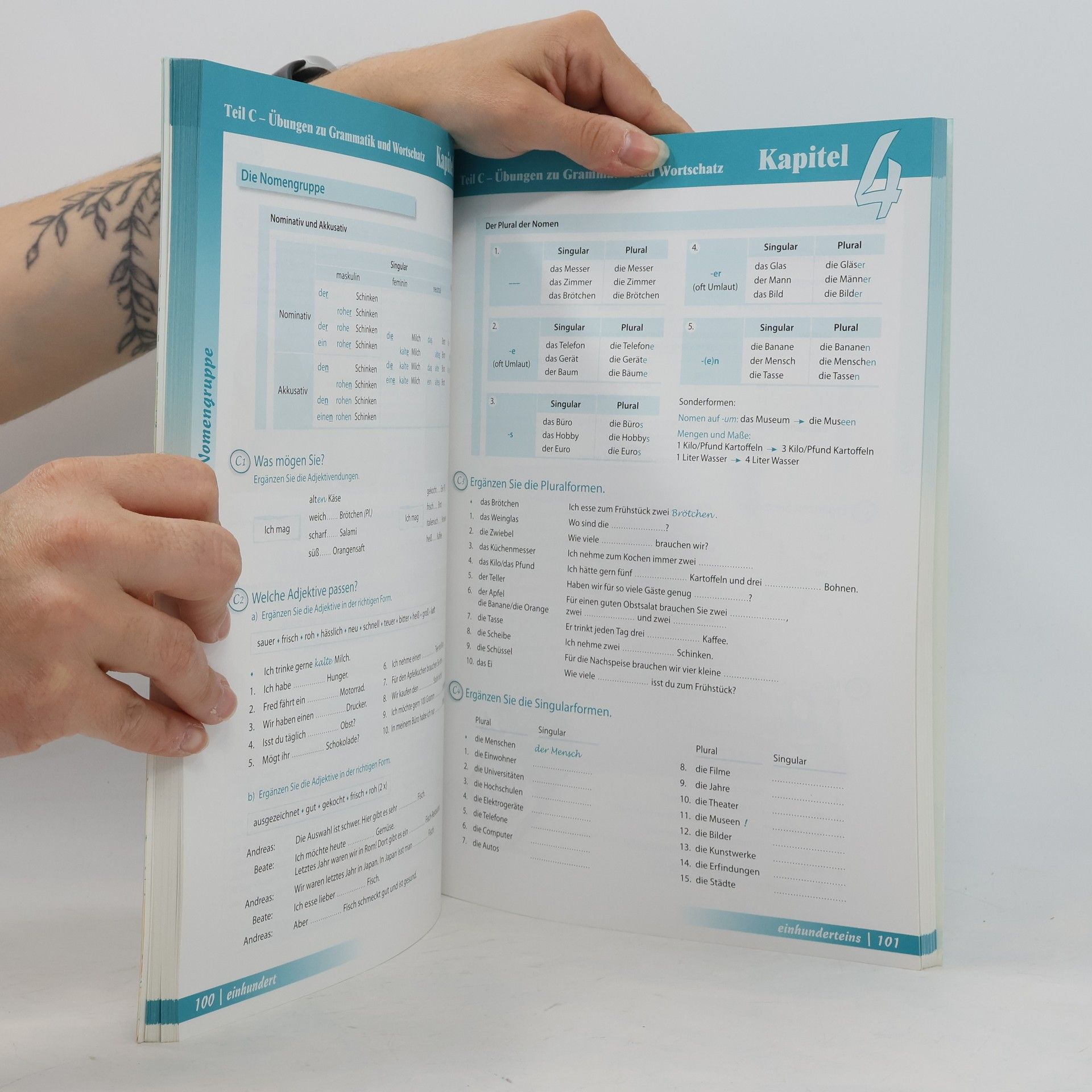Anne Buscha Begegnungen : Integriertes Kurs- und Arbeitsbuch : Sprachniveau A1+
