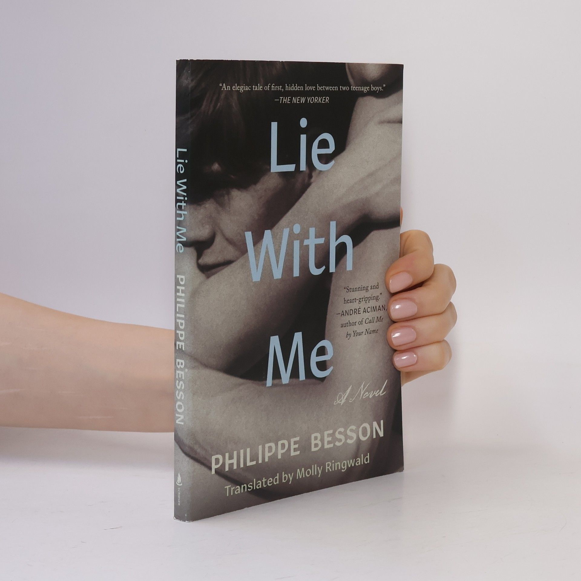 Philippe Besson Lie with Me