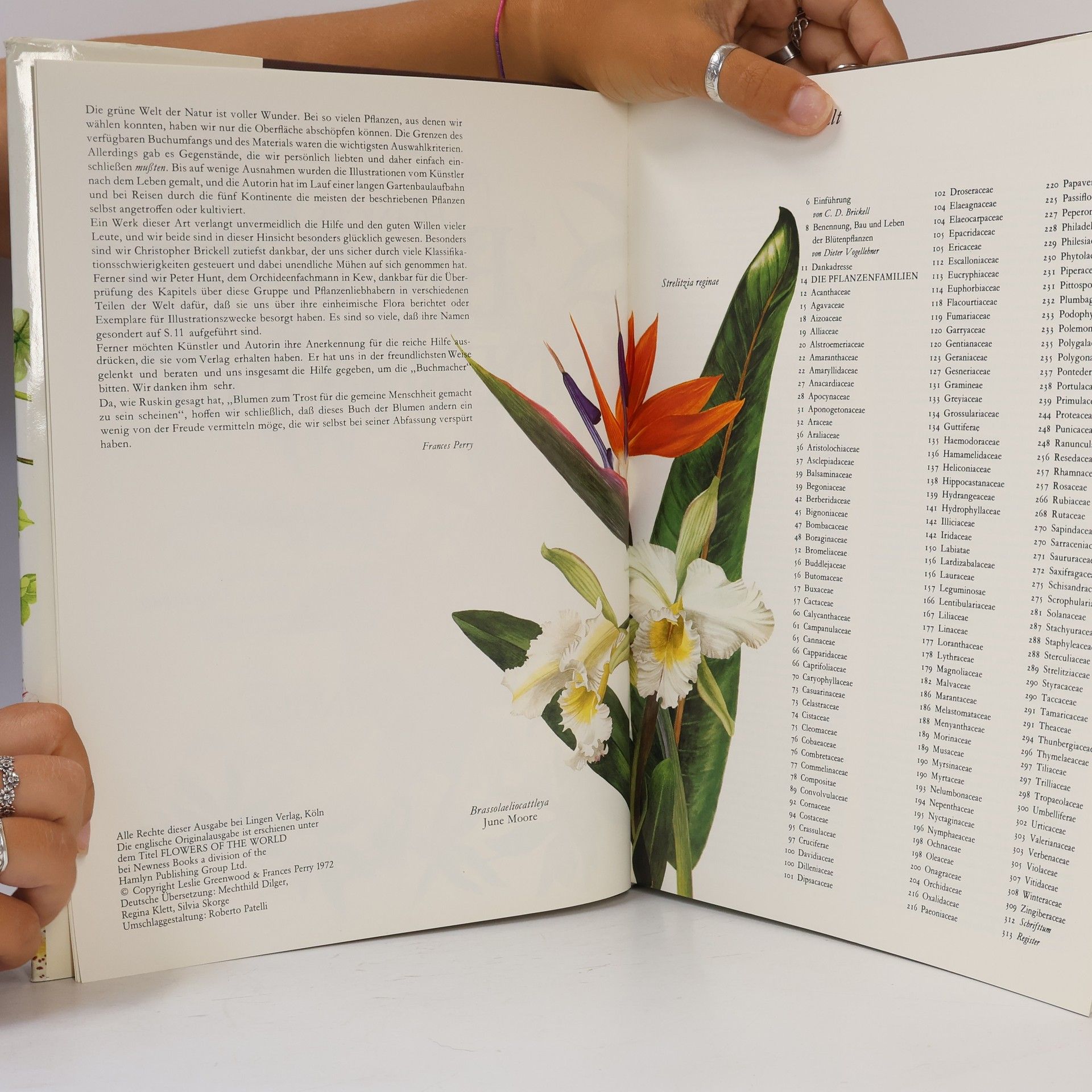 Frances Perry Blumen der Welt